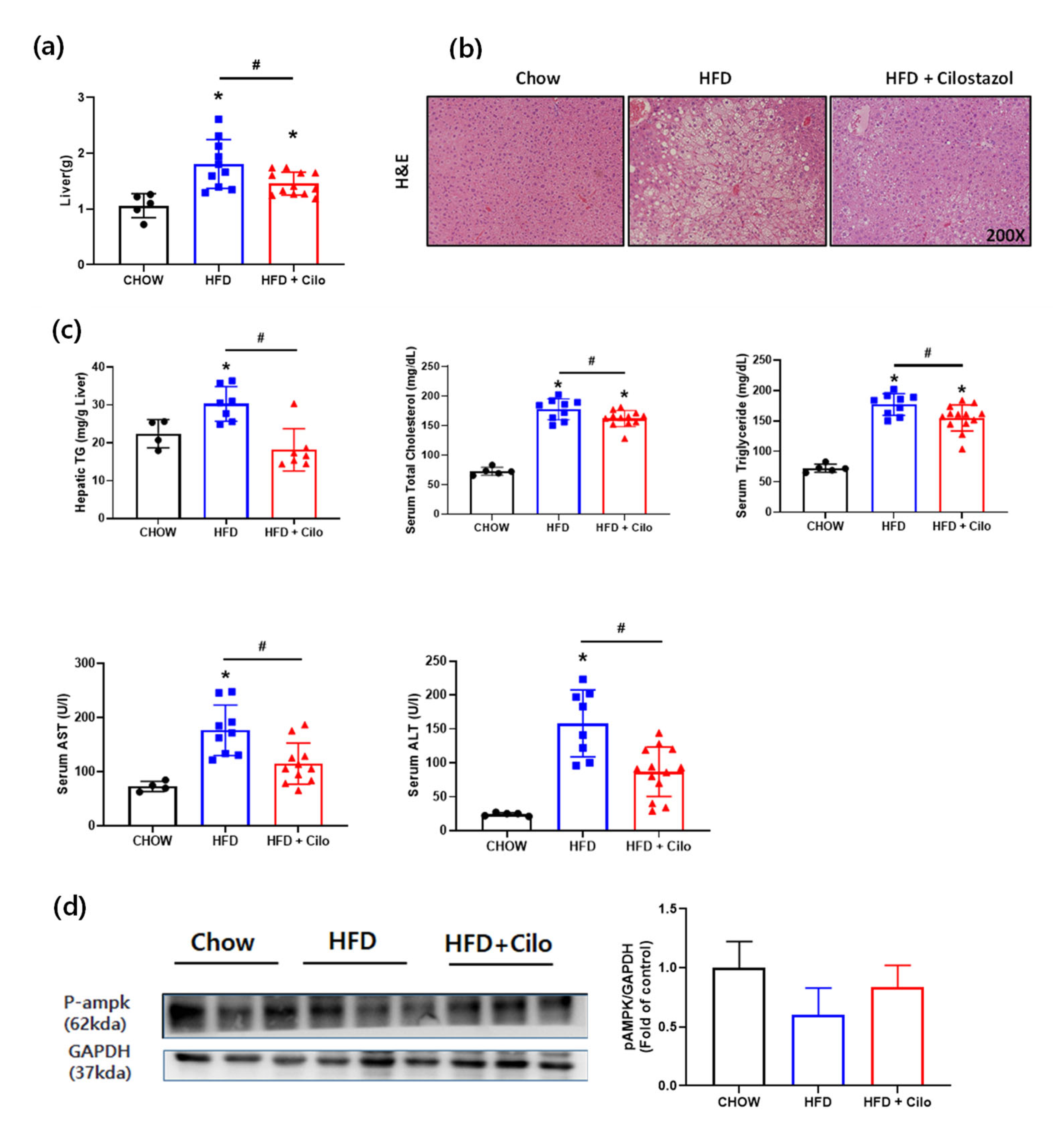 Biomedicines 10 01852 g006