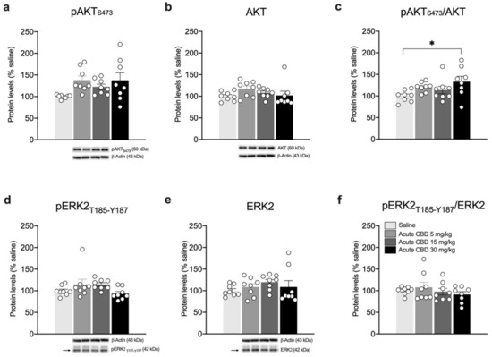 最終決算 Single and Differently Cannabidiol to Exposure Repeated グローブ