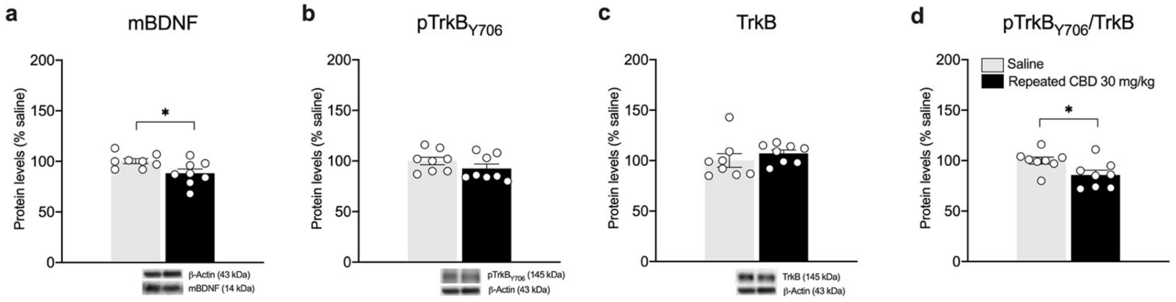 Biomedicines 10 01853 g007 550