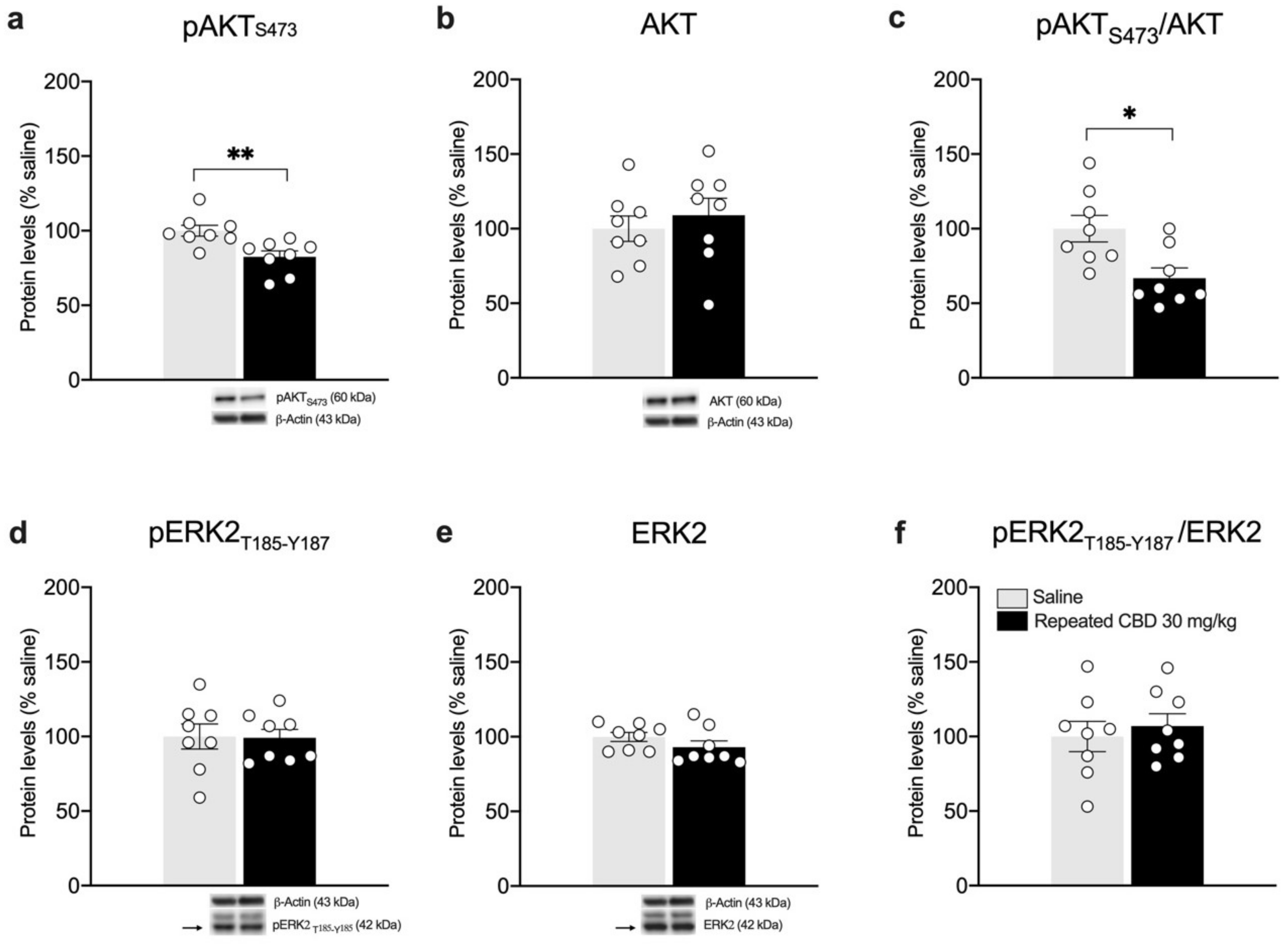 Biomedicines 10 01853 g008 550