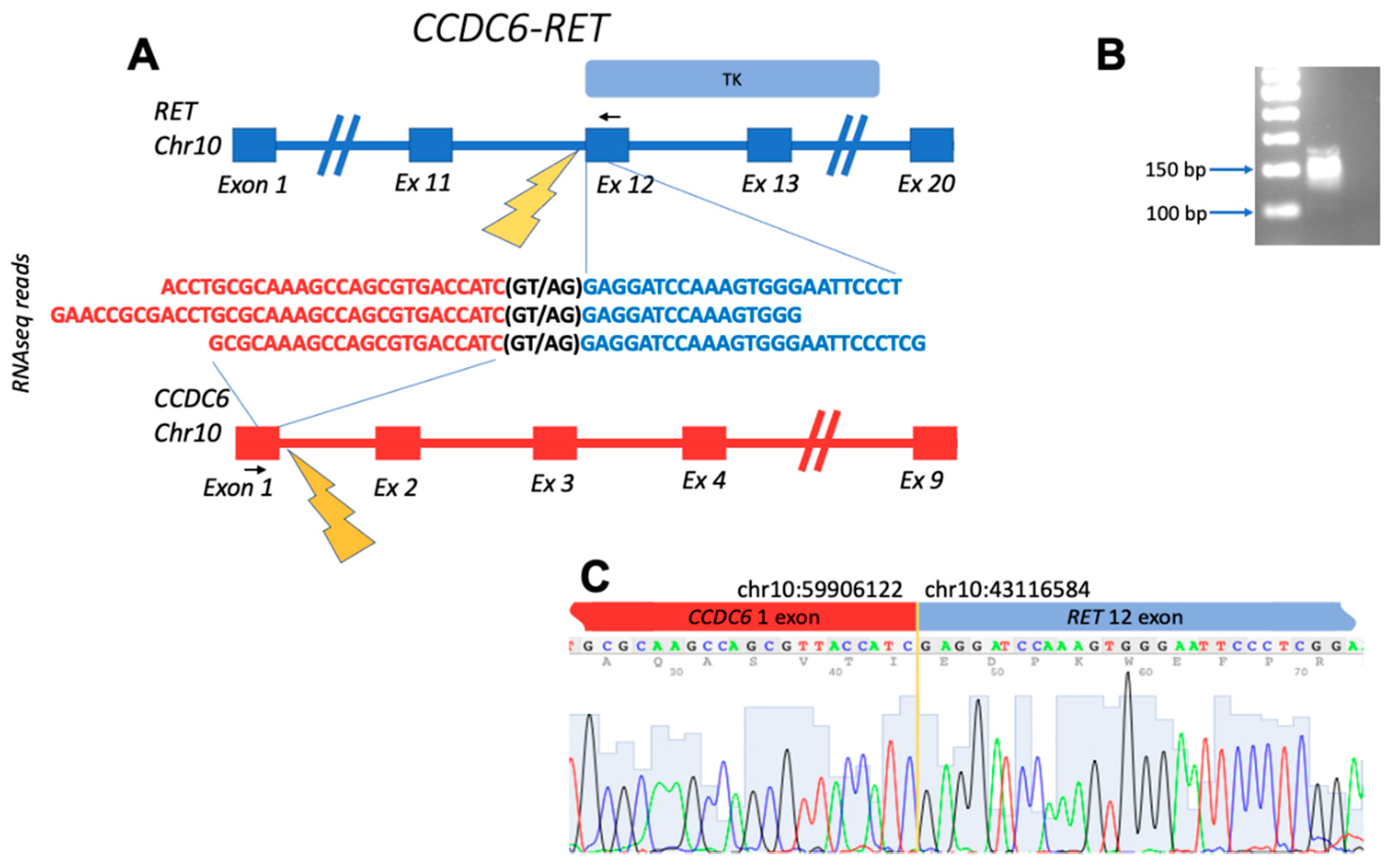 Biomedicines 10 01866 g001 Biomedicines 10 01866 g001