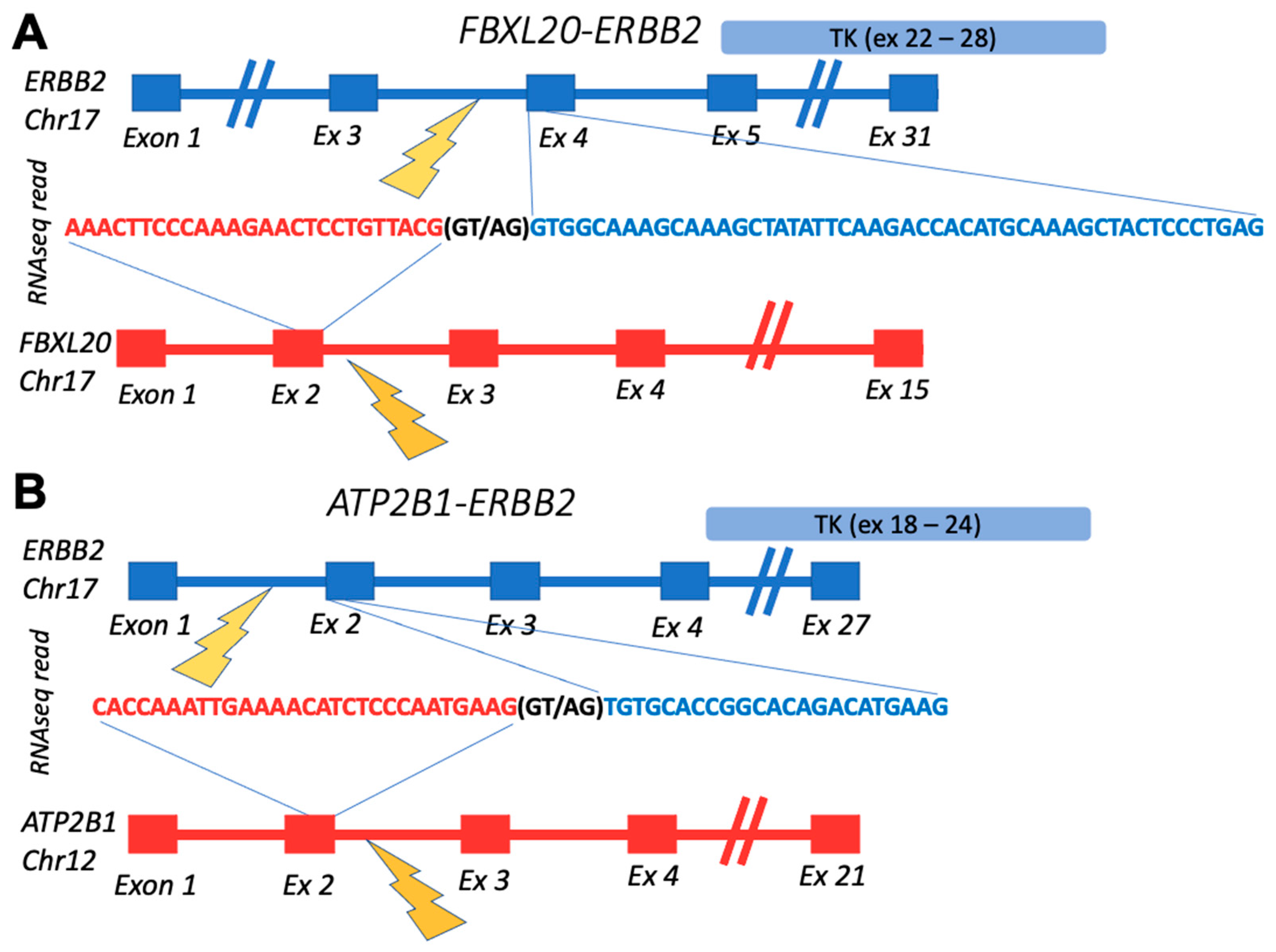 Biomedicines 10 01866 g002 Biomedicines 10 01866 g002