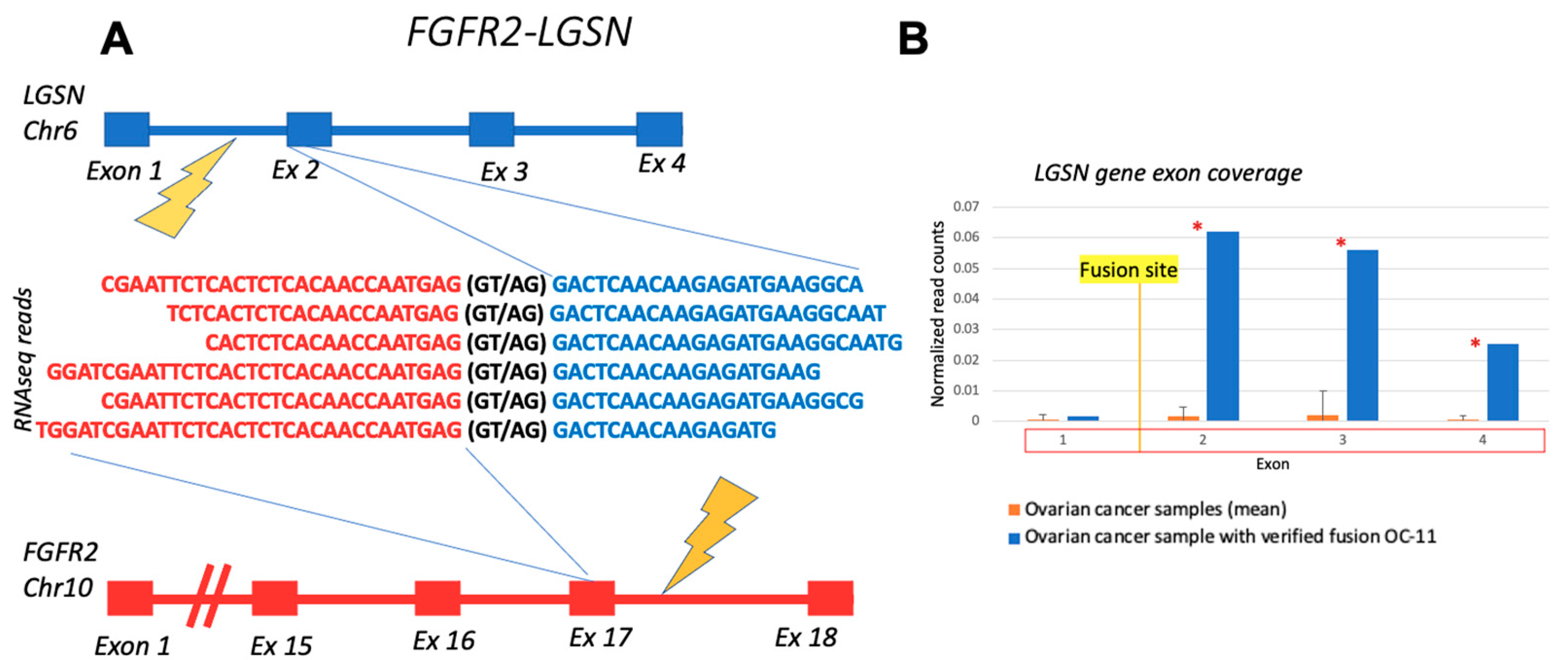Biomedicines 10 01866 g007 Biomedicines 10 01866 g007