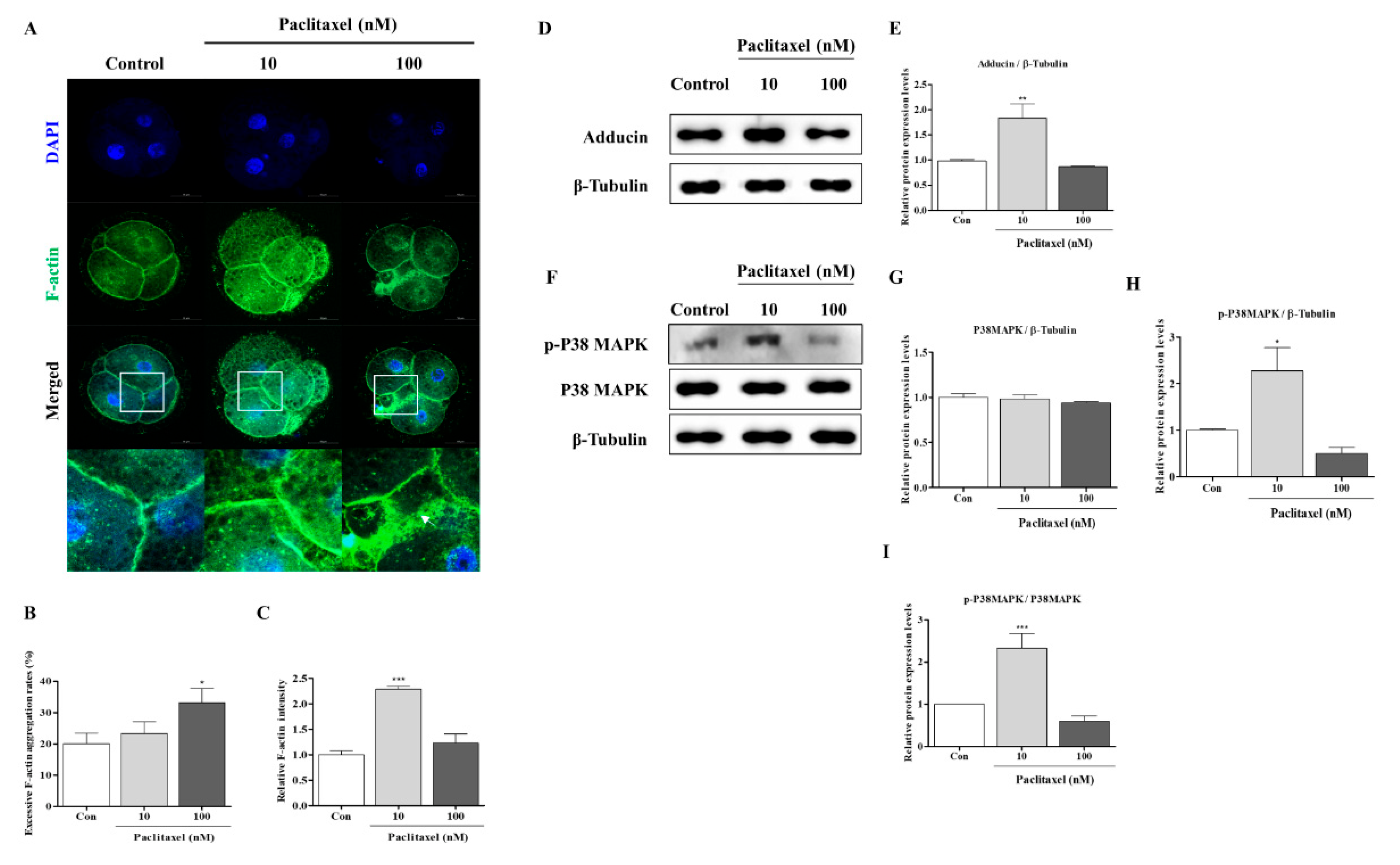 Biomedicines 10 01867 g004