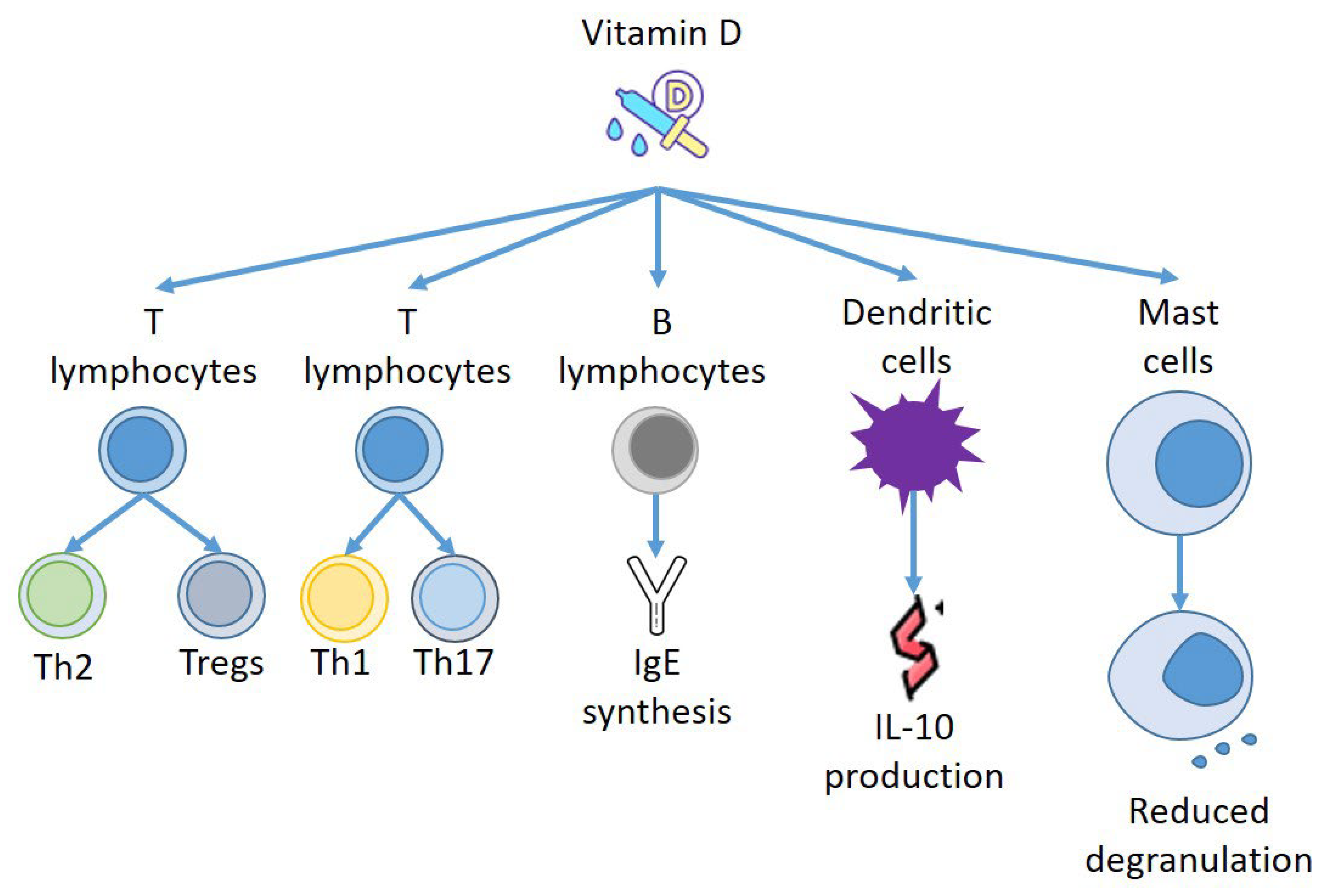 Biomedicines 10 01877 g002 Biomedicines 10 01877 g002