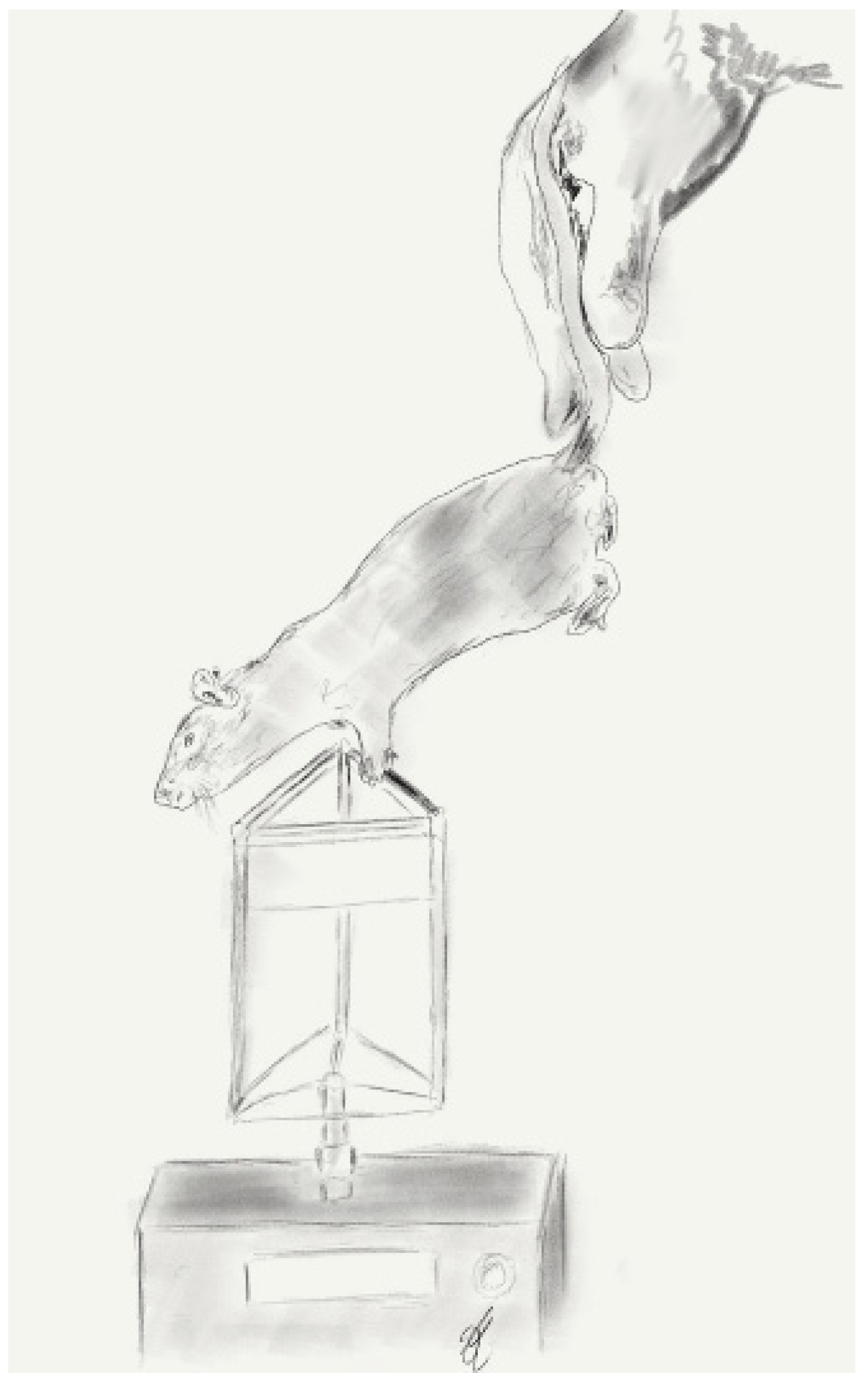 Biomedicines 10 01878 g001 Biomedicines 10 01878 g001