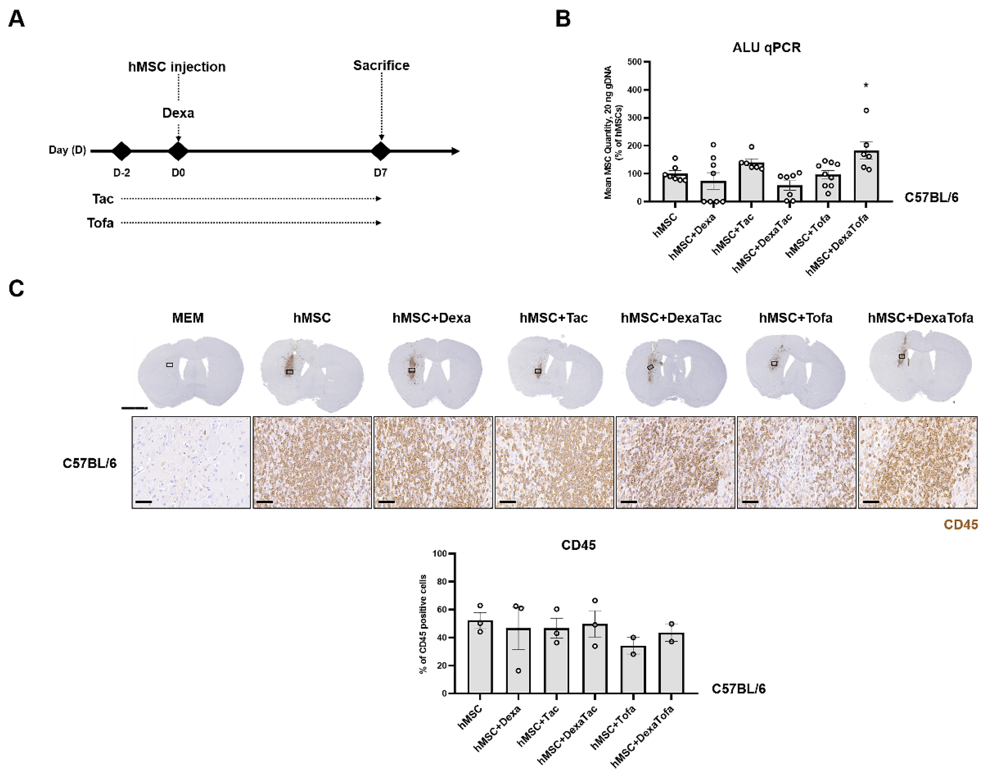 Biomedicines 10 01882 g001 Biomedicines 10 01882 g001