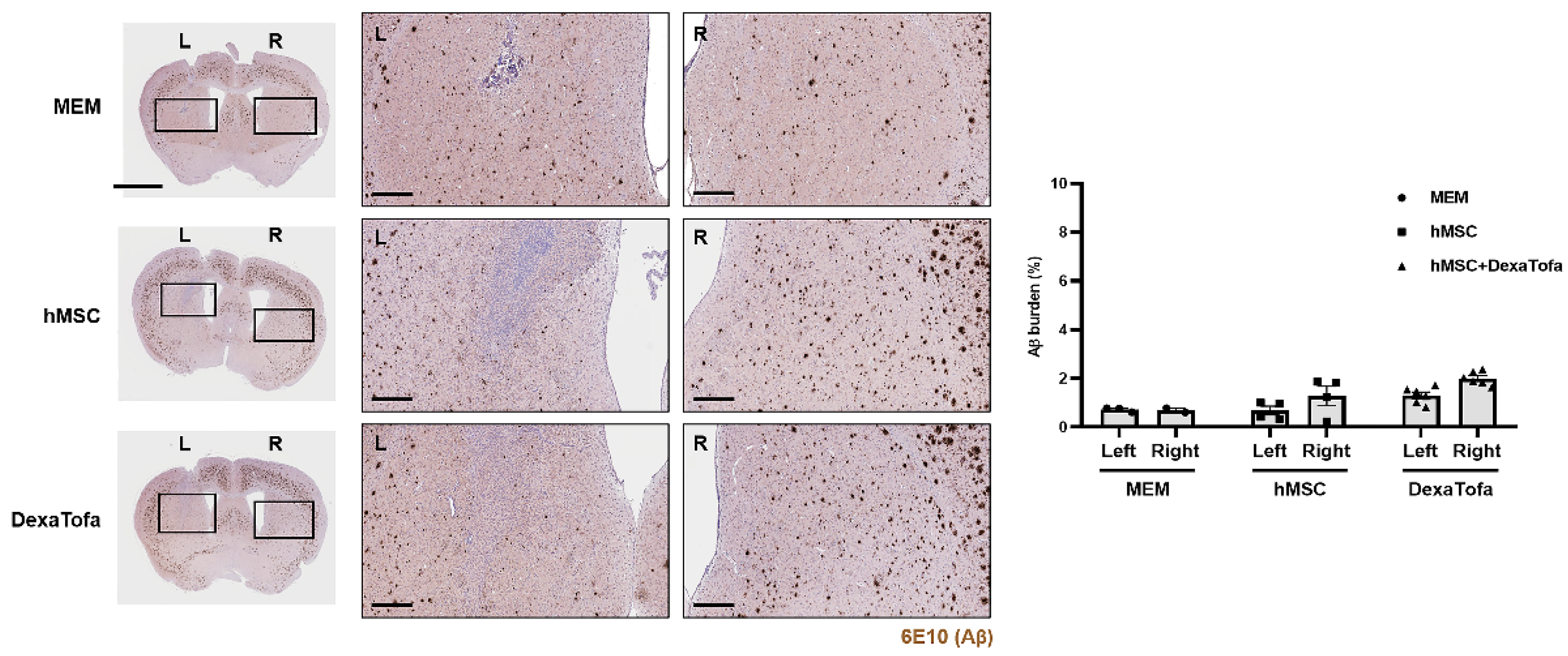 Biomedicines 10 01882 g005 Biomedicines 10 01882 g005