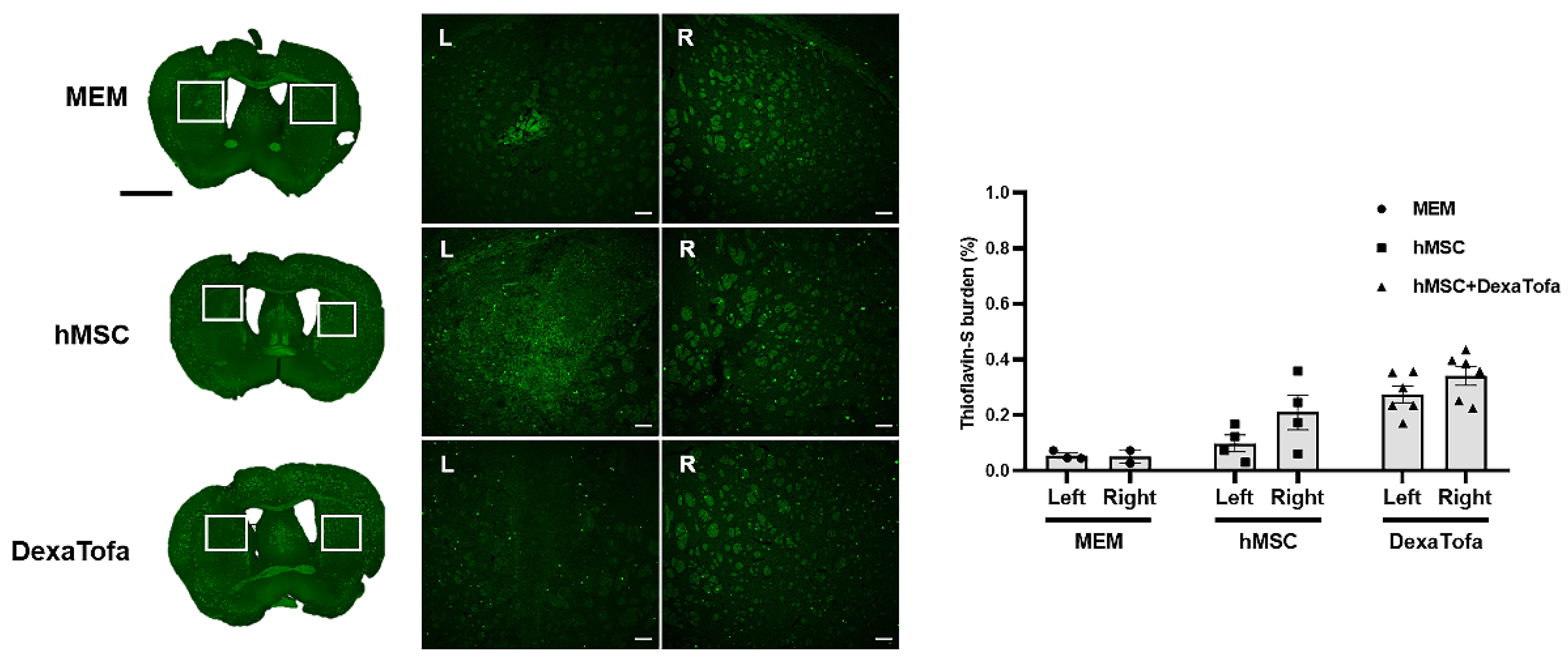Biomedicines 10 01882 g007 Biomedicines 10 01882 g007