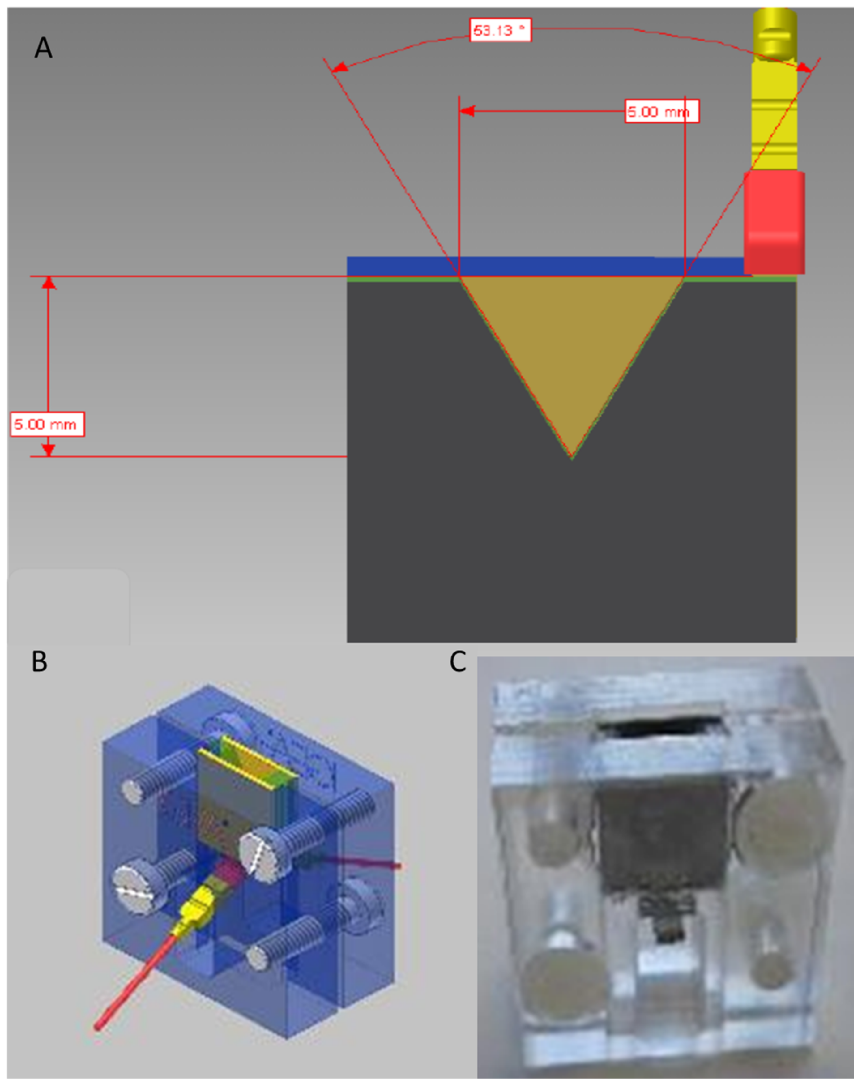 Biomedicines 10 01889 g004