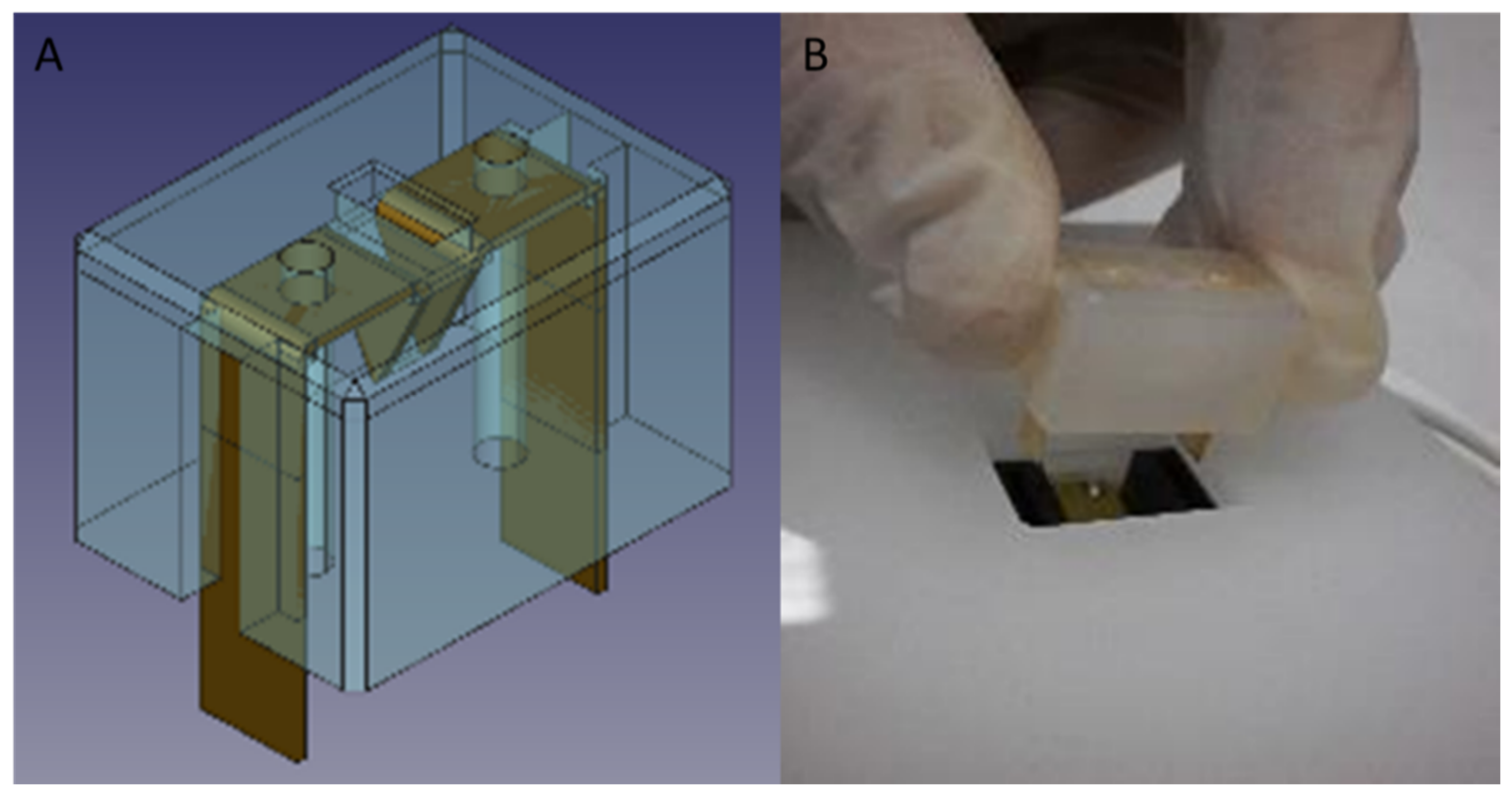 Biomedicines 10 01889 g005