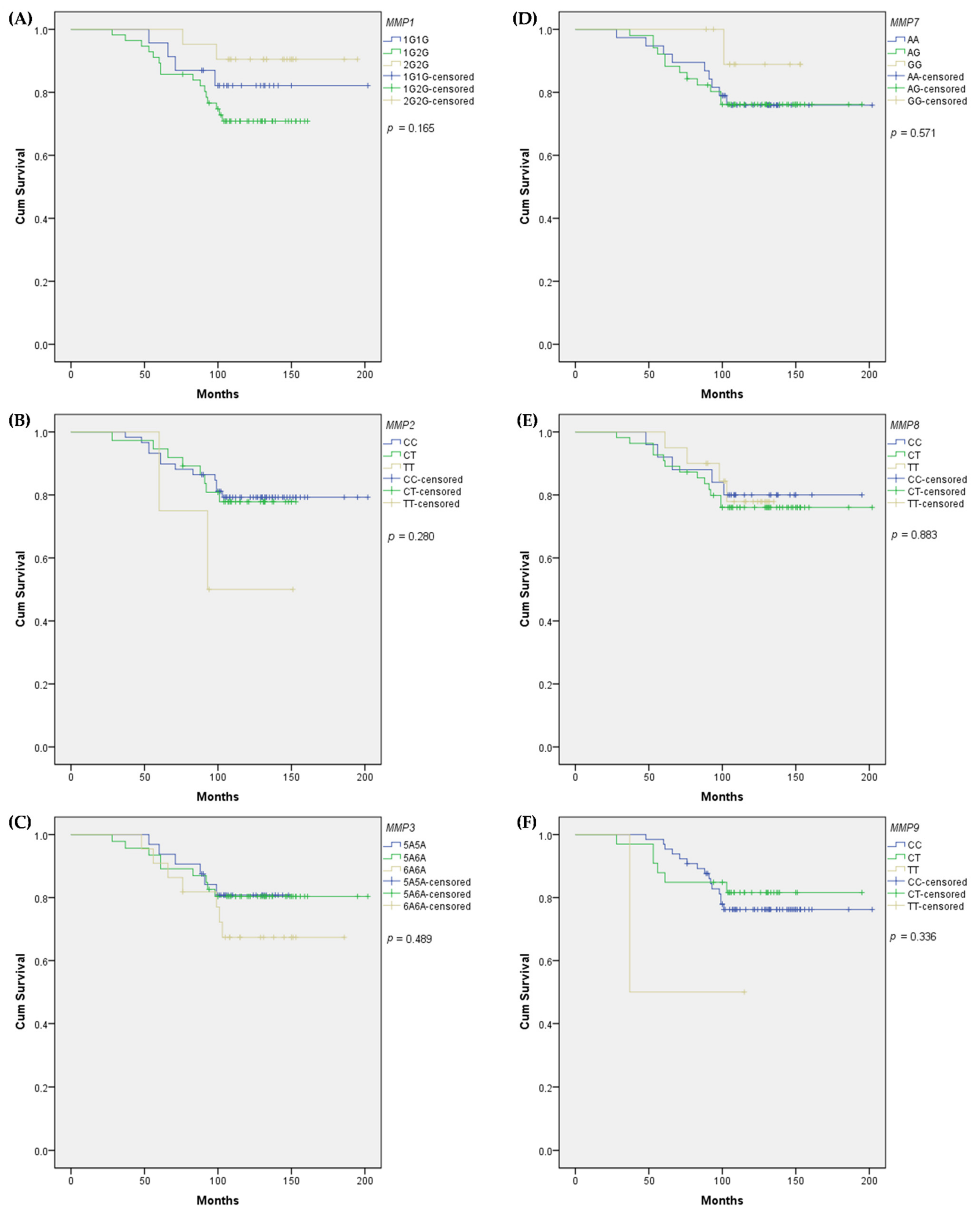Biomedicines 10 01891 g001
