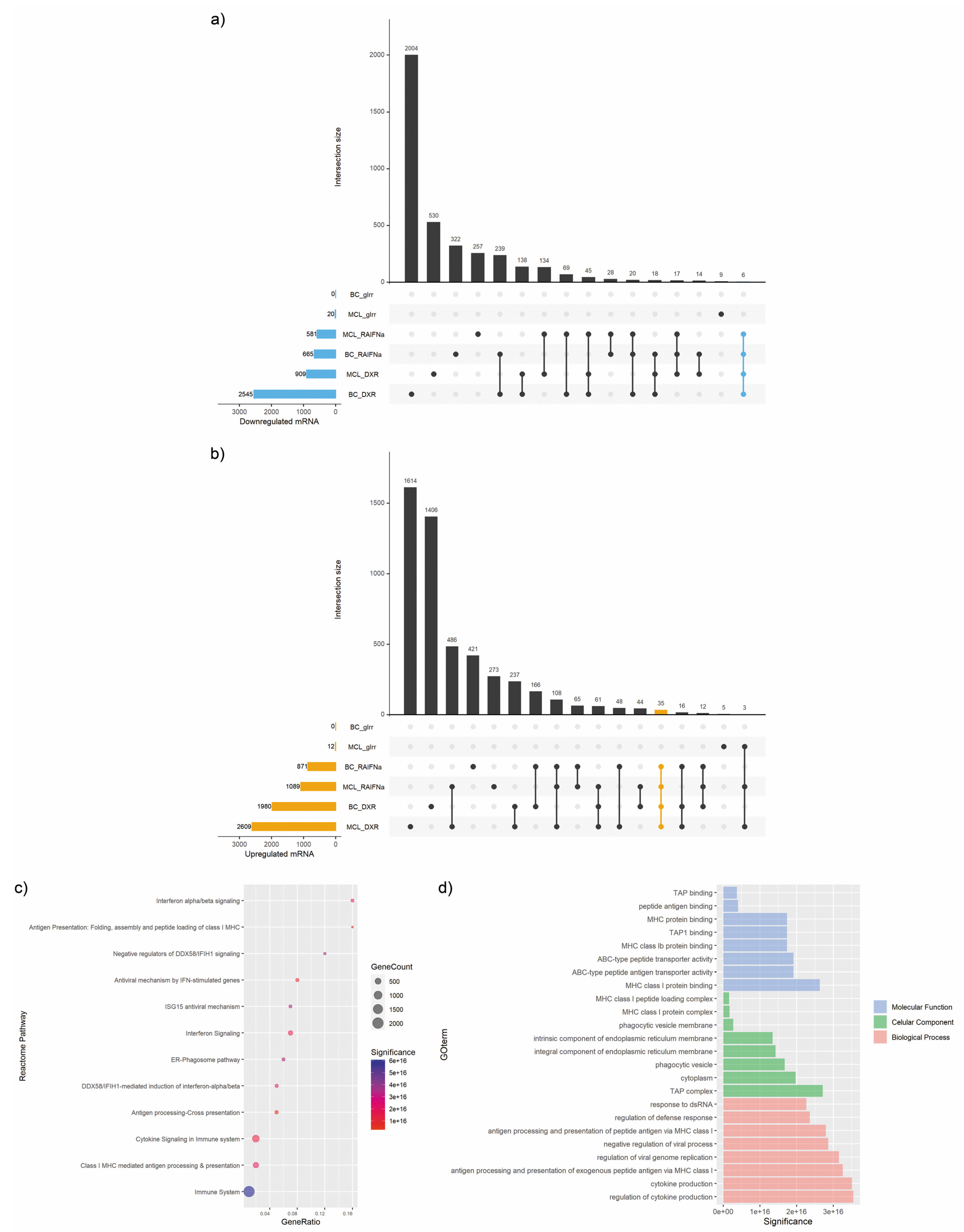 Biomedicines 10 01896 g002 Biomedicines 10 01896 g002