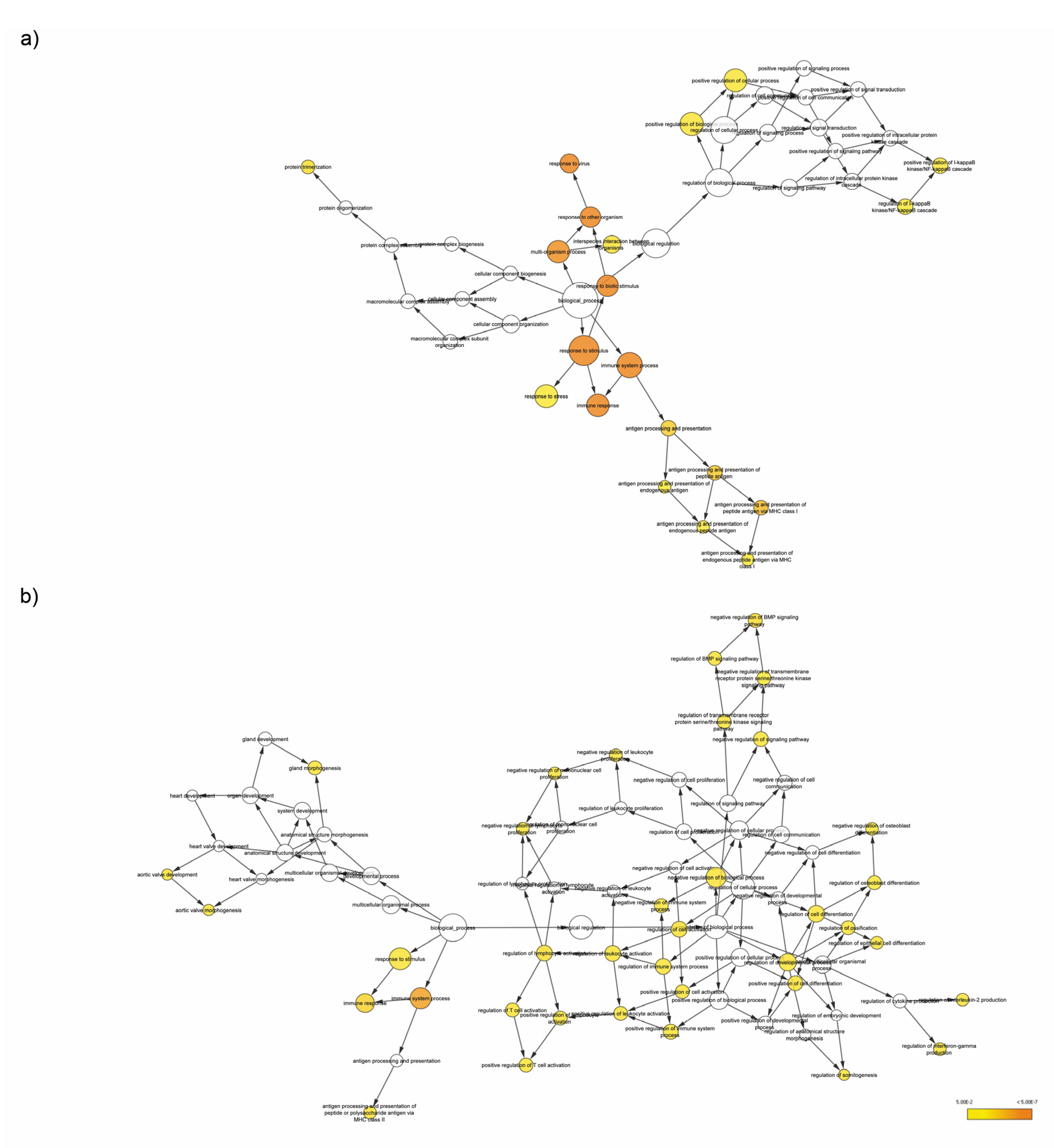 Biomedicines 10 01896 g004 Biomedicines 10 01896 g004