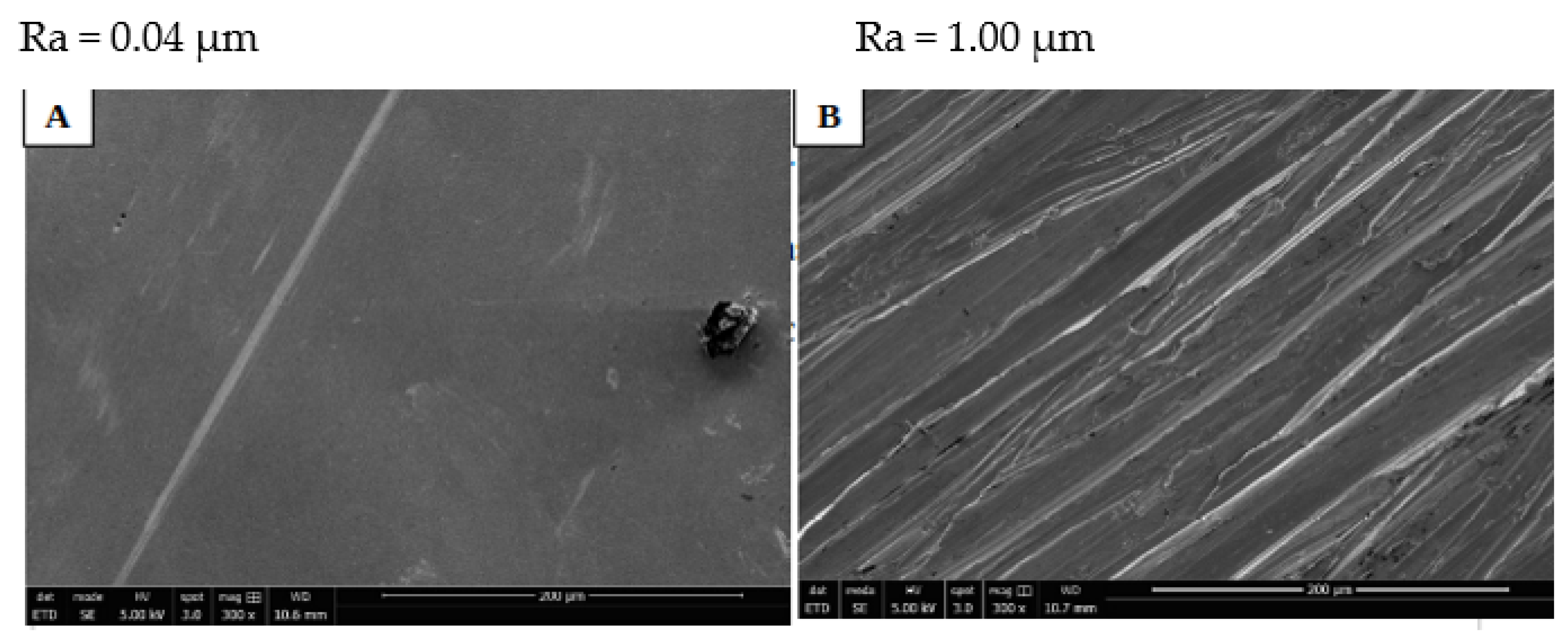 Biomedicines 10 01898 g001