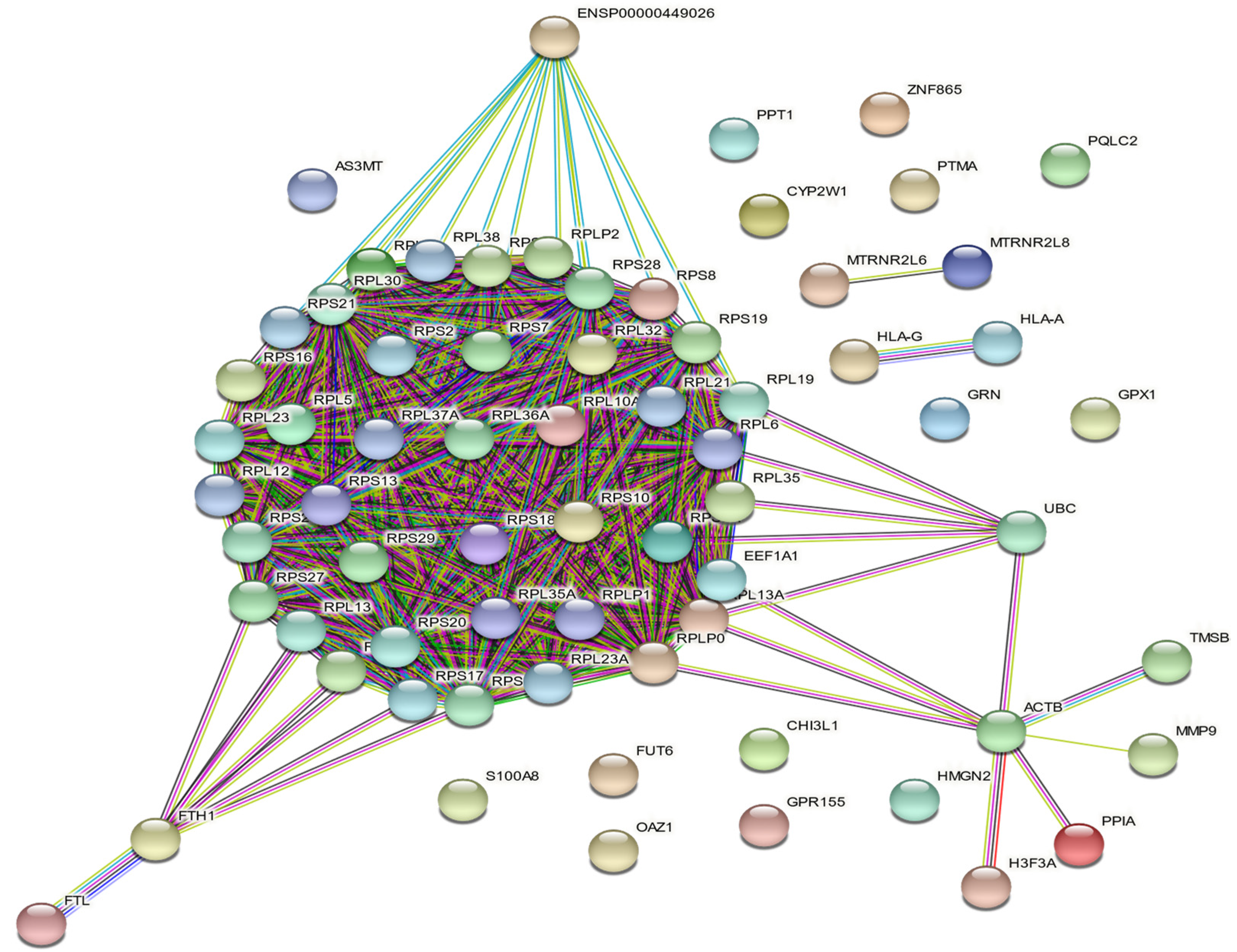 Biomedicines 10 01898 g007