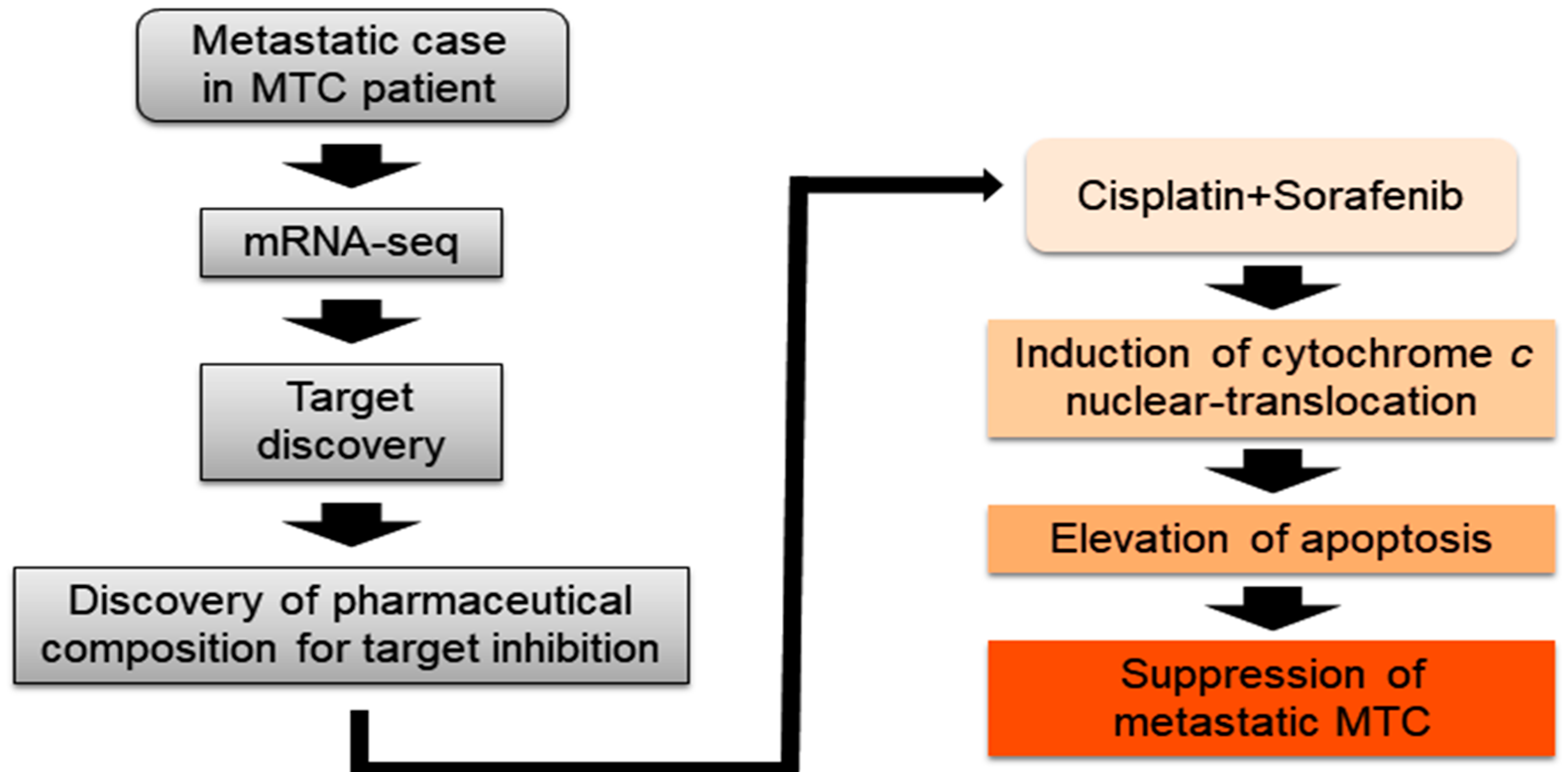 Biomedicines 10 01901 g006 Biomedicines 10 01901 g006