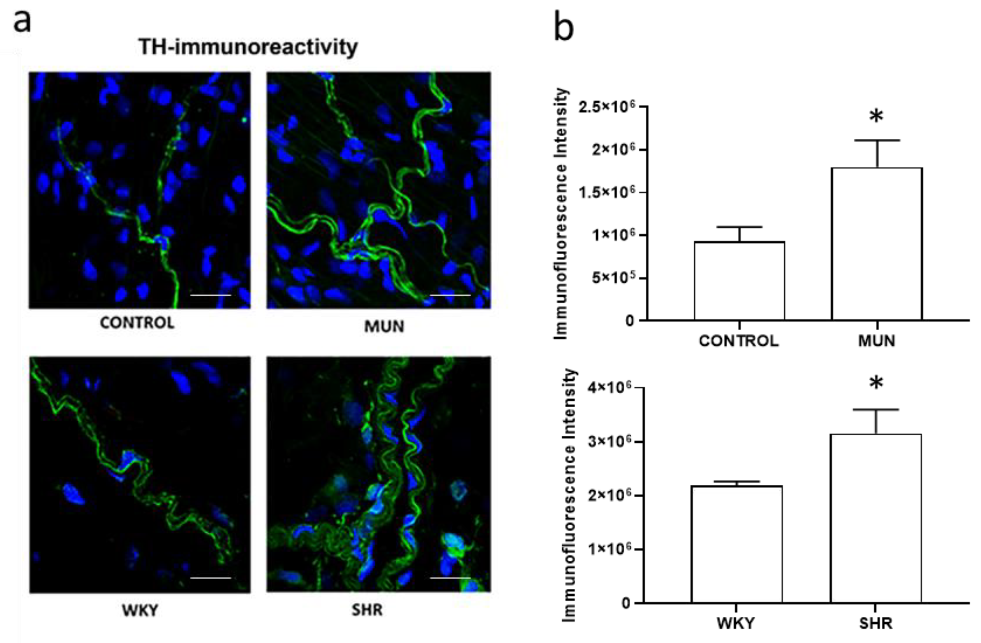 Biomedicines 10 01902 g006 Biomedicines 10 01902 g006