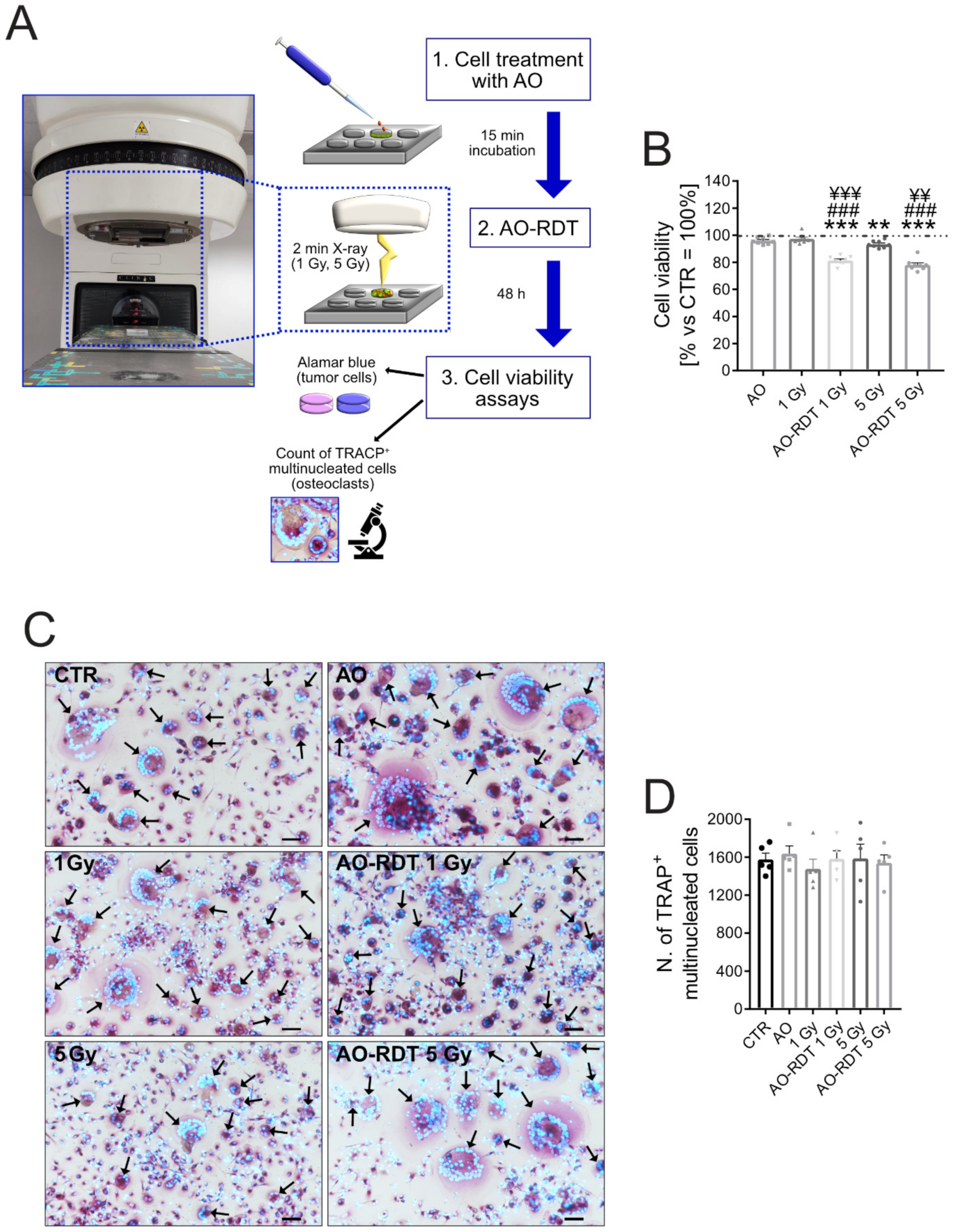 Biomedicines 10 01904 g004 Biomedicines 10 01904 g004