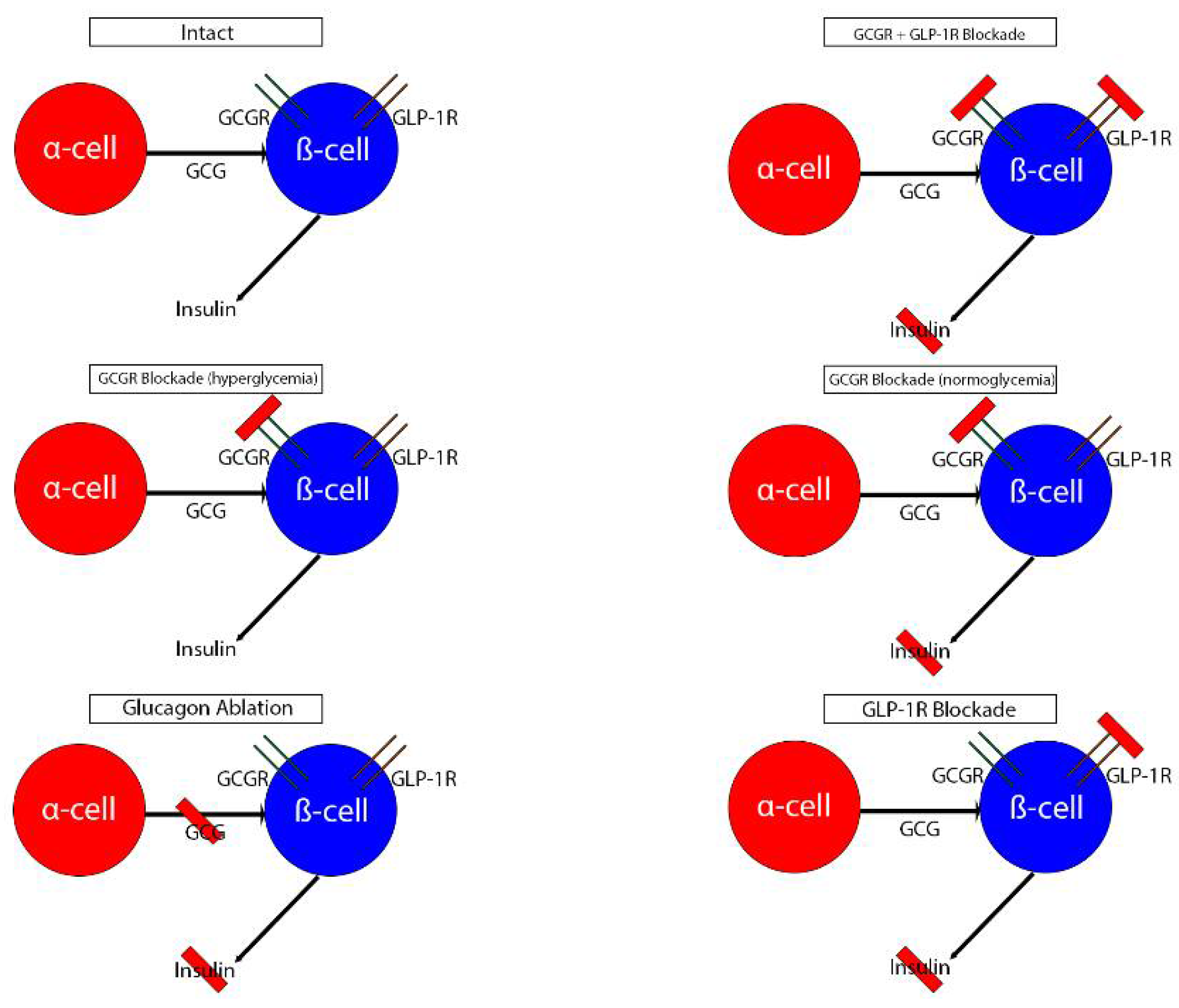 Biomedicines 10 01907 g001