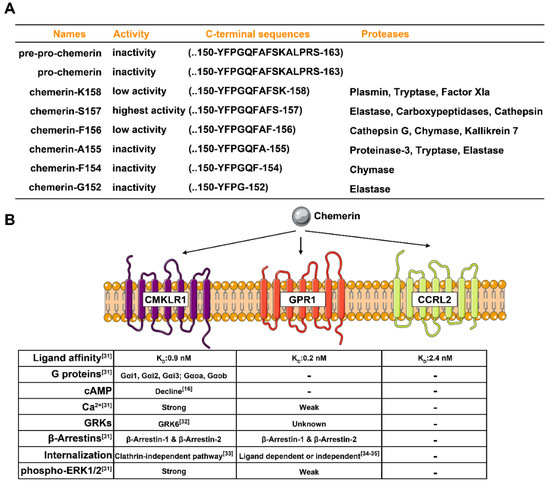 Biomedicines | Free Full-Text | Chemerin: A Functional Adipokine 
