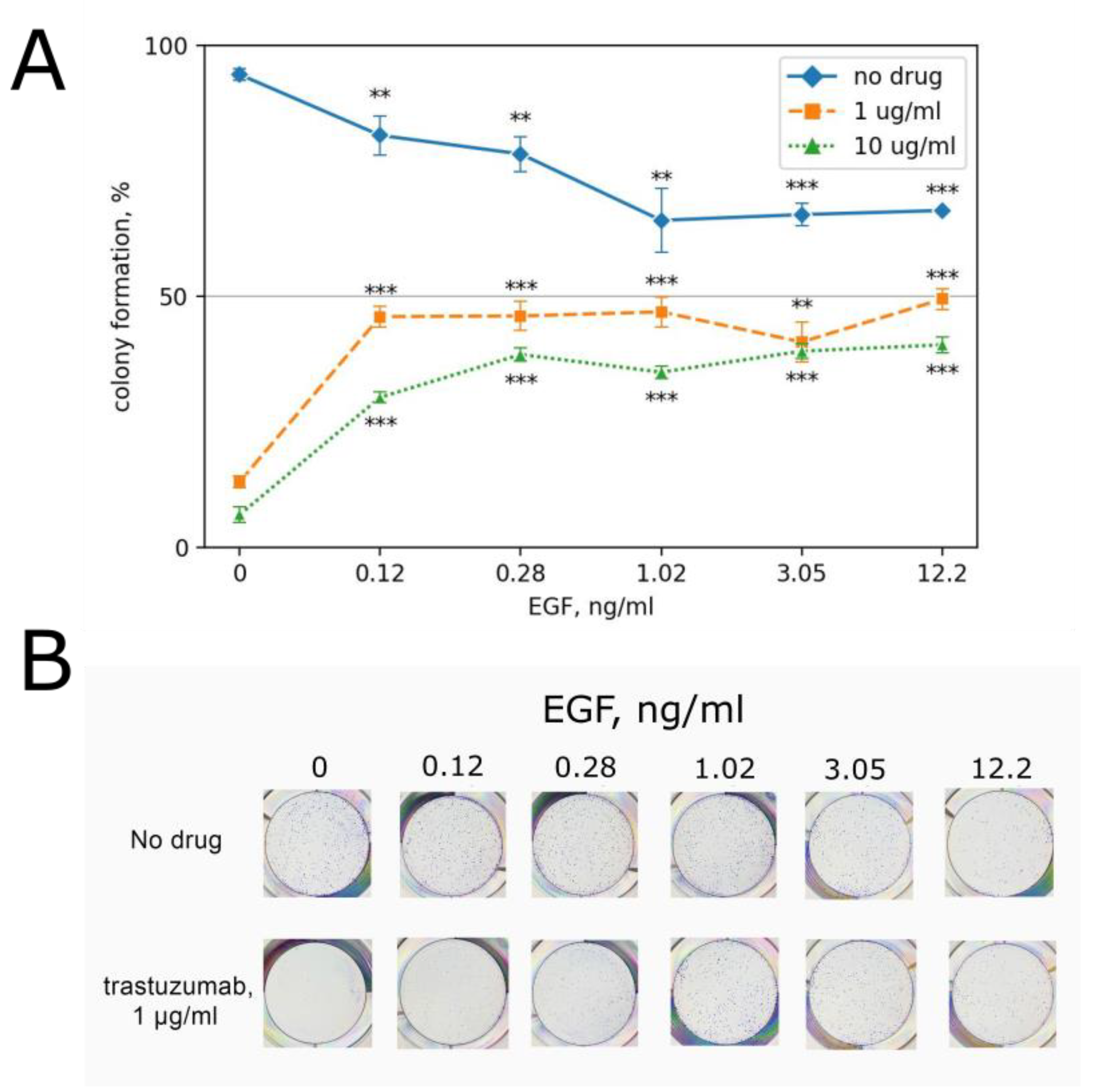 Biomedicines 10 01914 g004