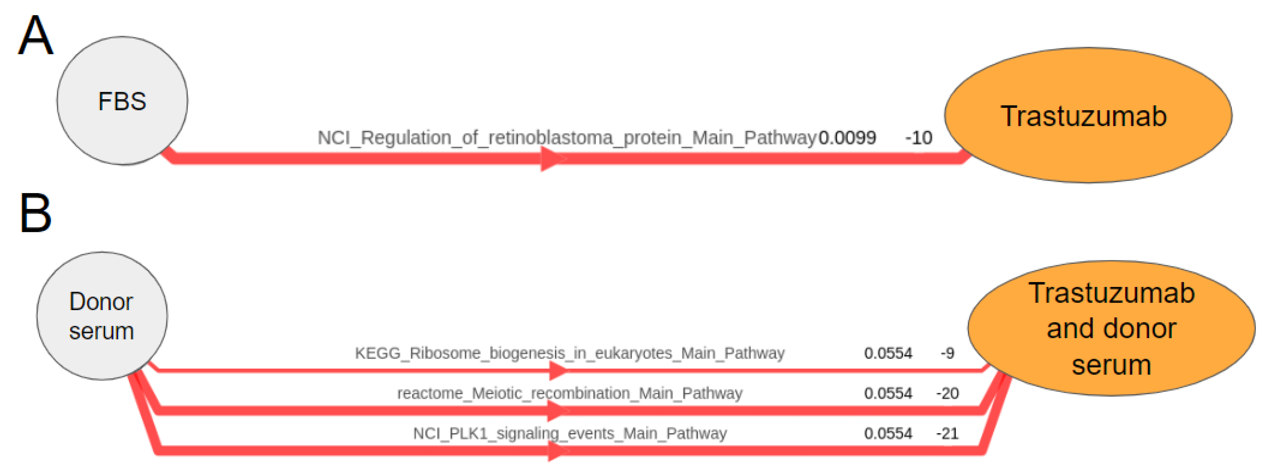 Biomedicines 10 01914 g009