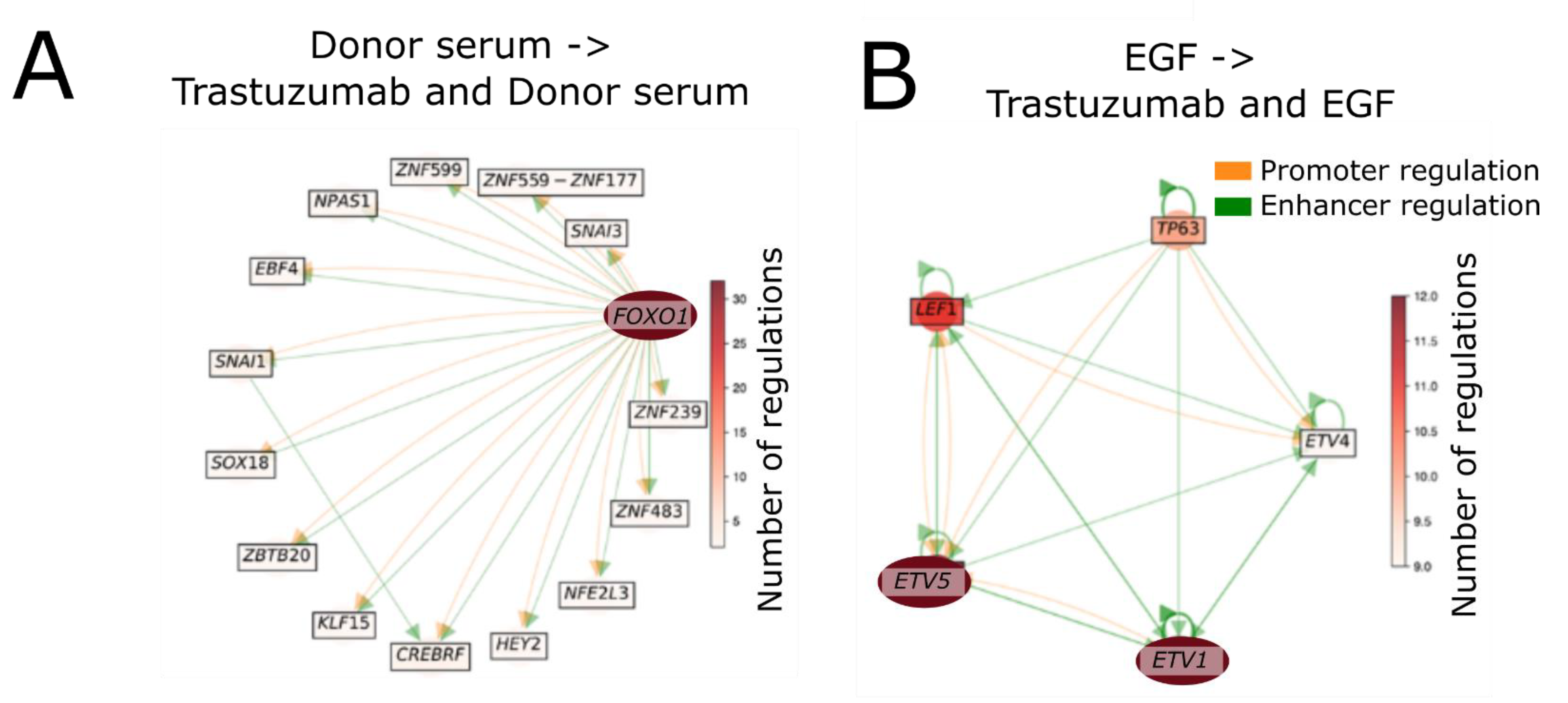 Biomedicines 10 01914 g011