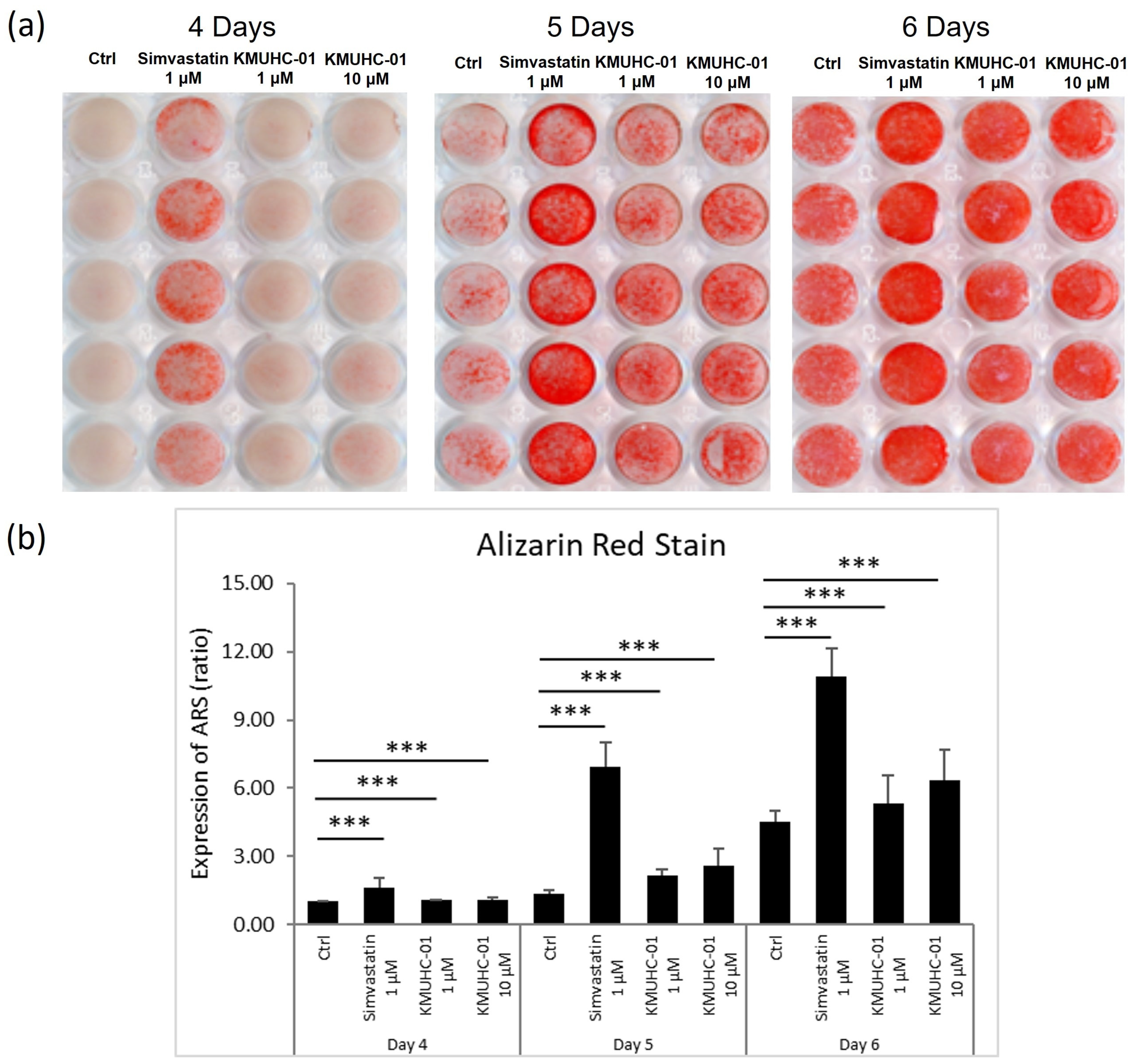 Biomedicines 10 01915 g003