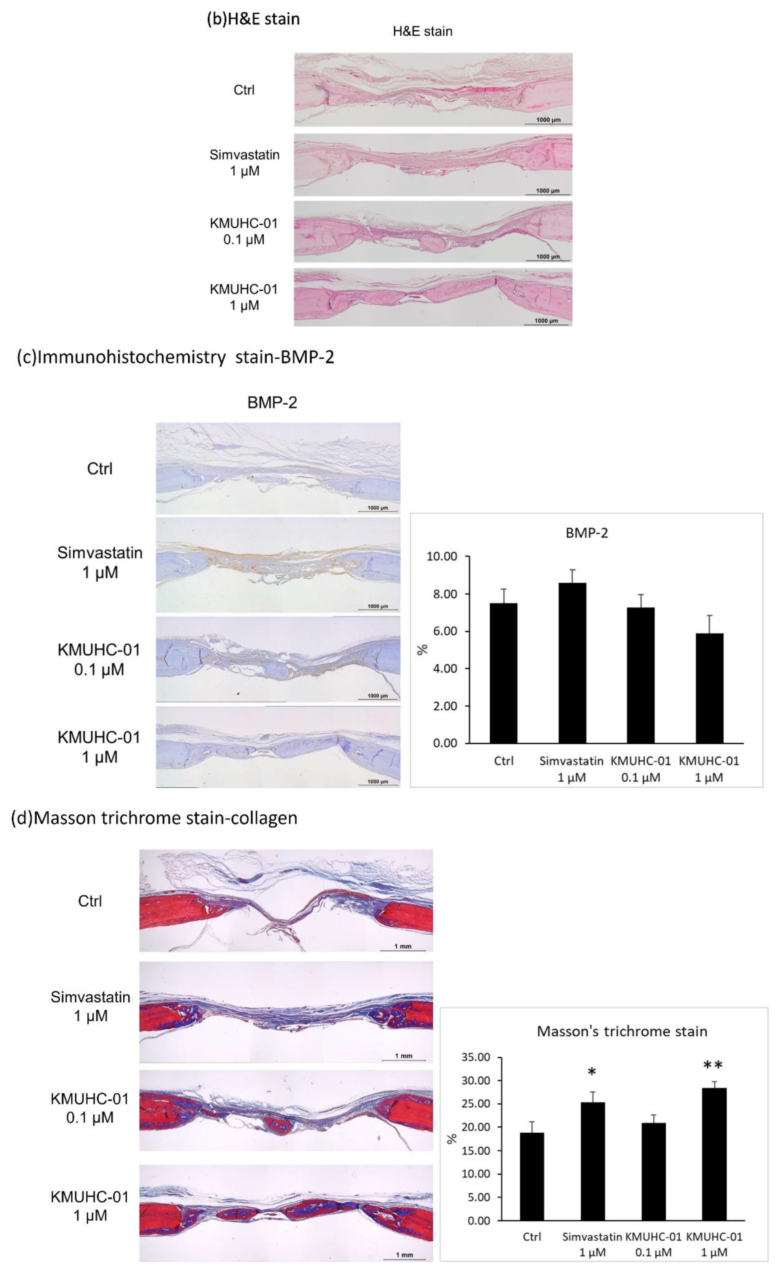 Biomedicines 10 01915 g005b