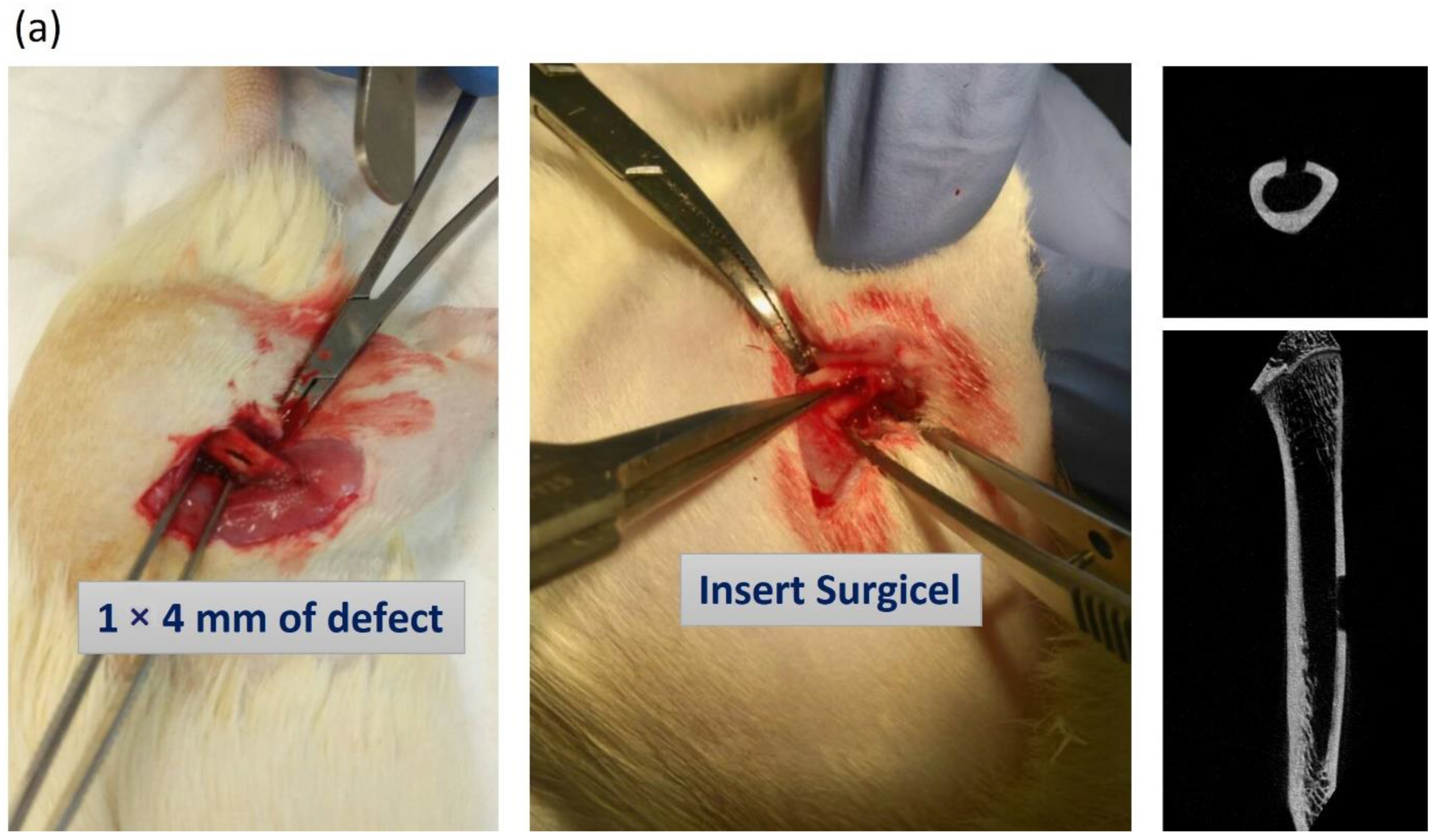 Biomedicines 10 01915 g006a