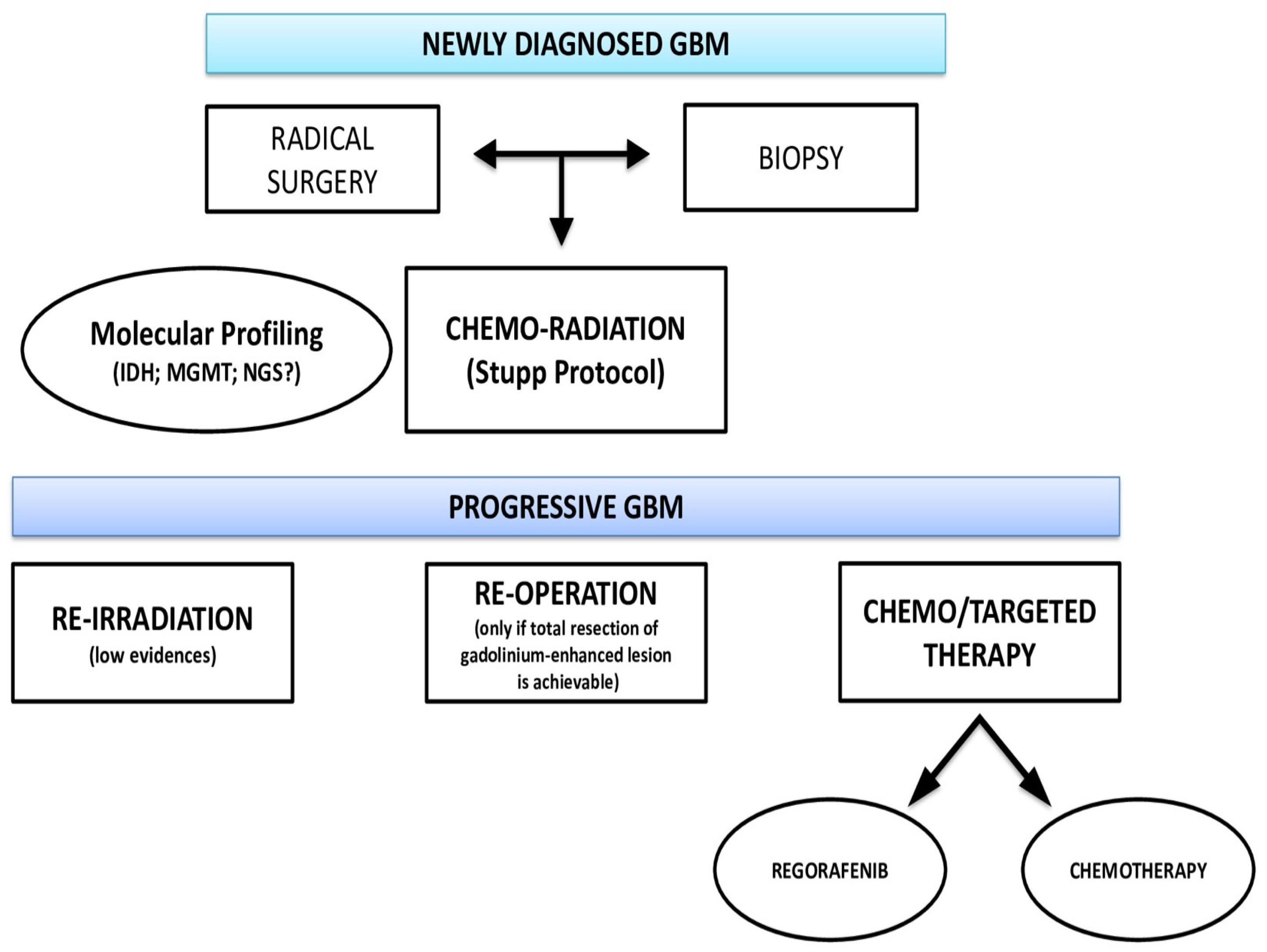 Biomedicines 10 01927 g001