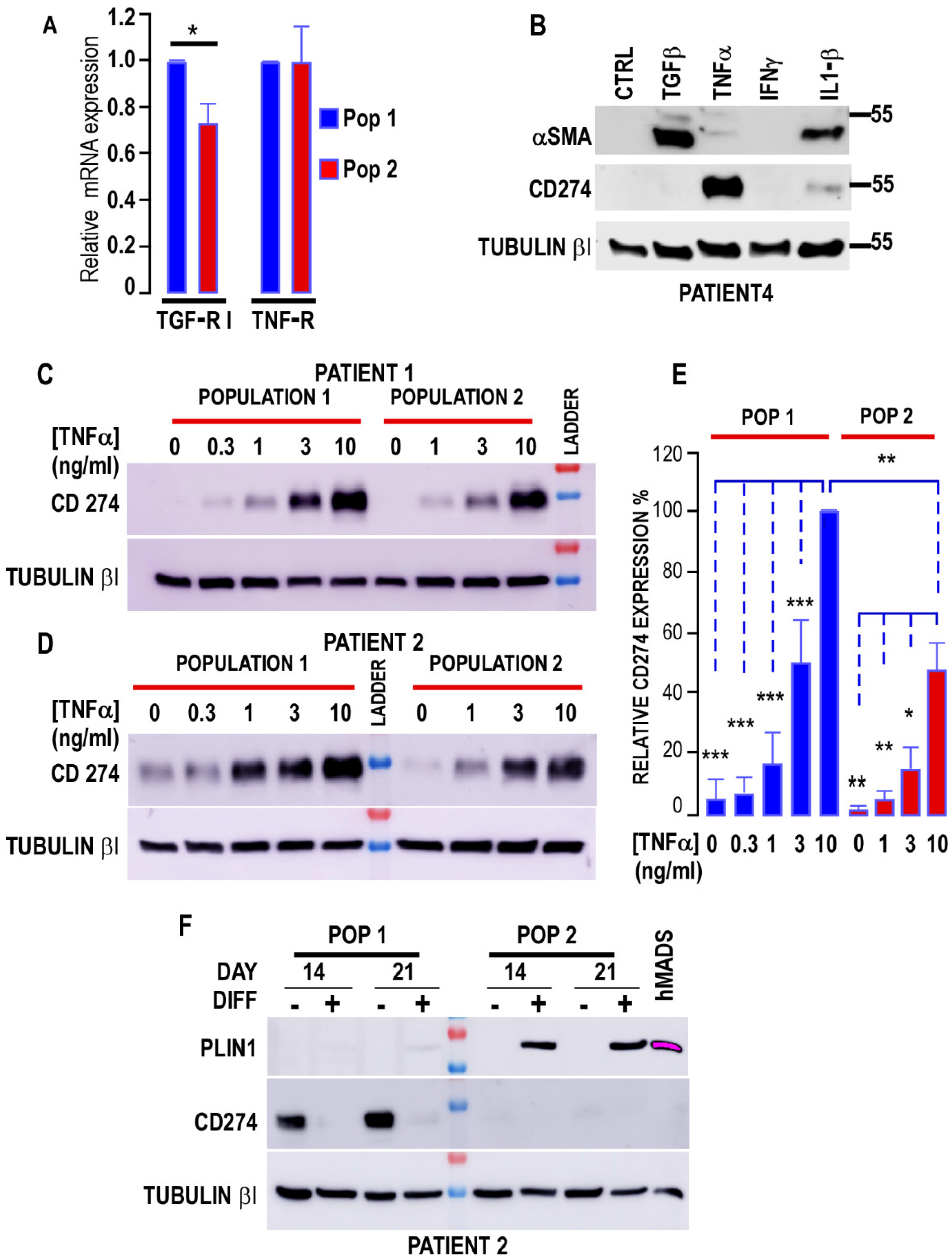Biomedicines 10 01928 g004 Biomedicines 10 01928 g004