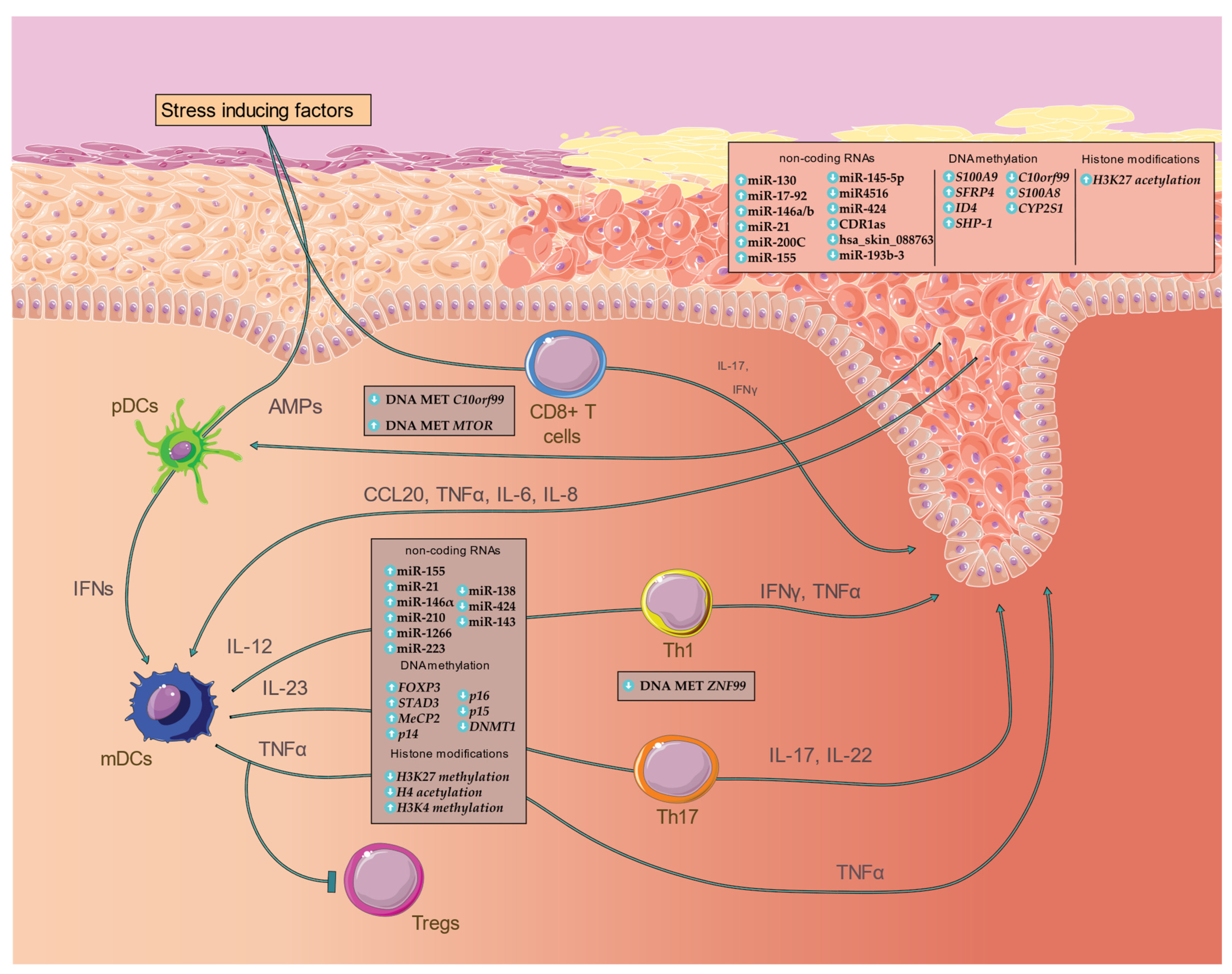 Biomedicines 10 01934 g001