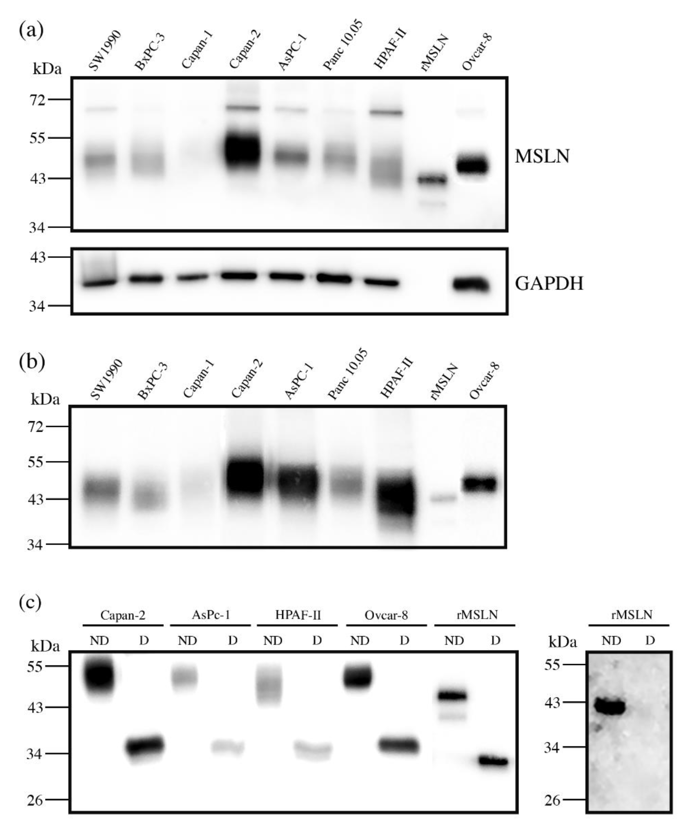 Biomedicines 10 01942 g001 Biomedicines 10 01942 g001