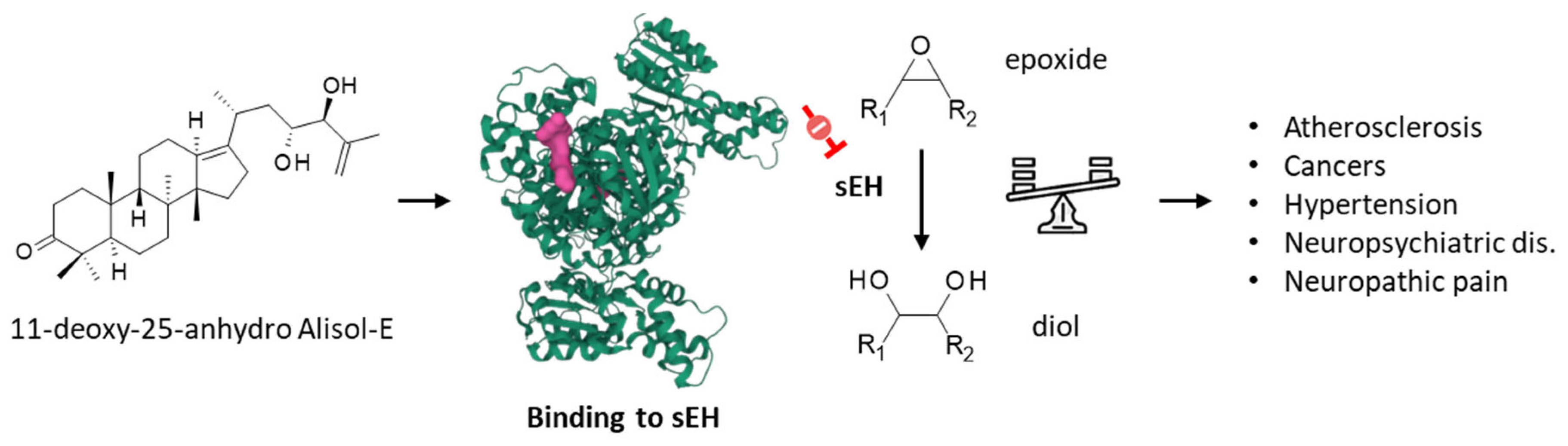 Biomedicines 10 01945 g005 Biomedicines 10 01945 g005