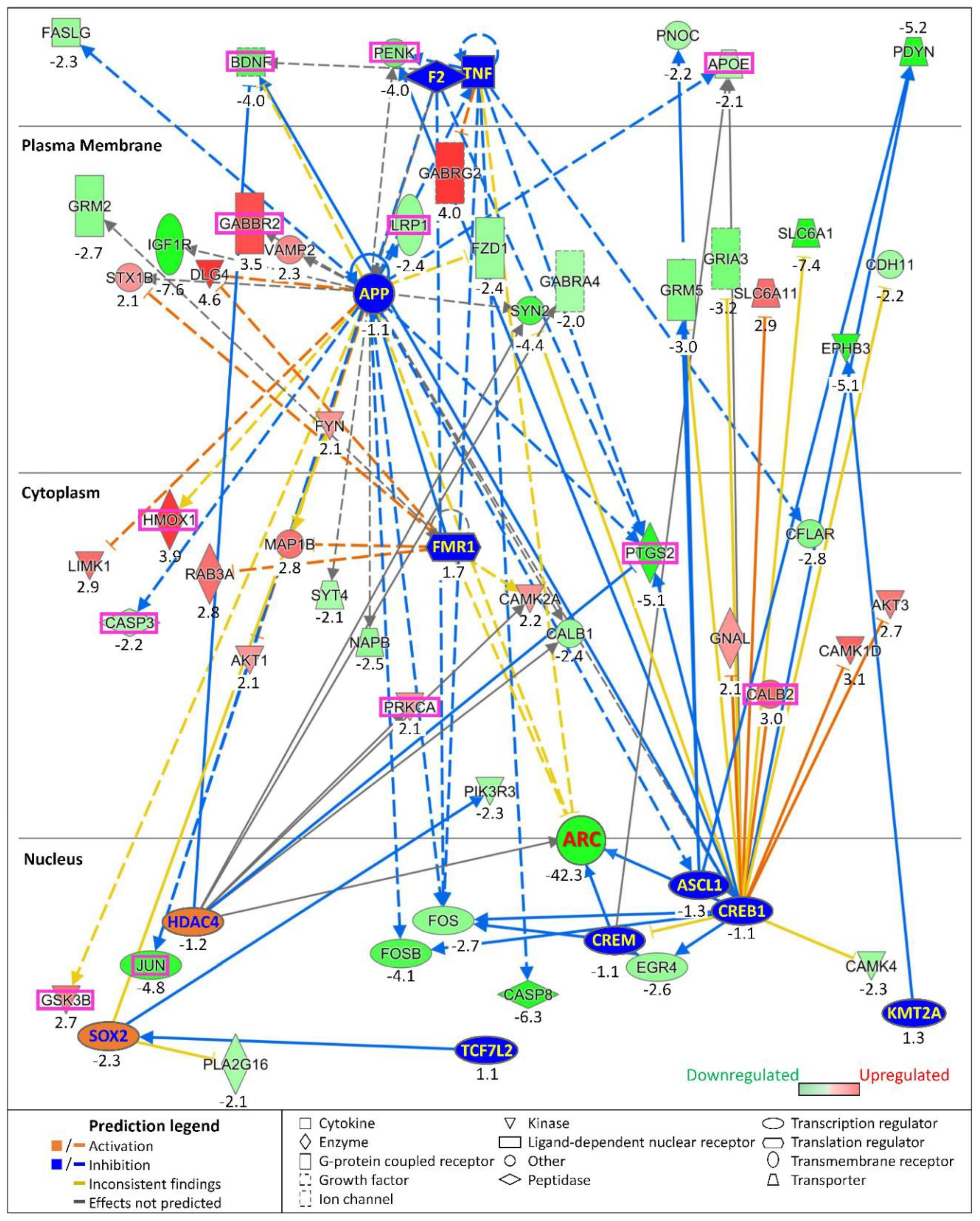 Biomedicines 10 01946 g018