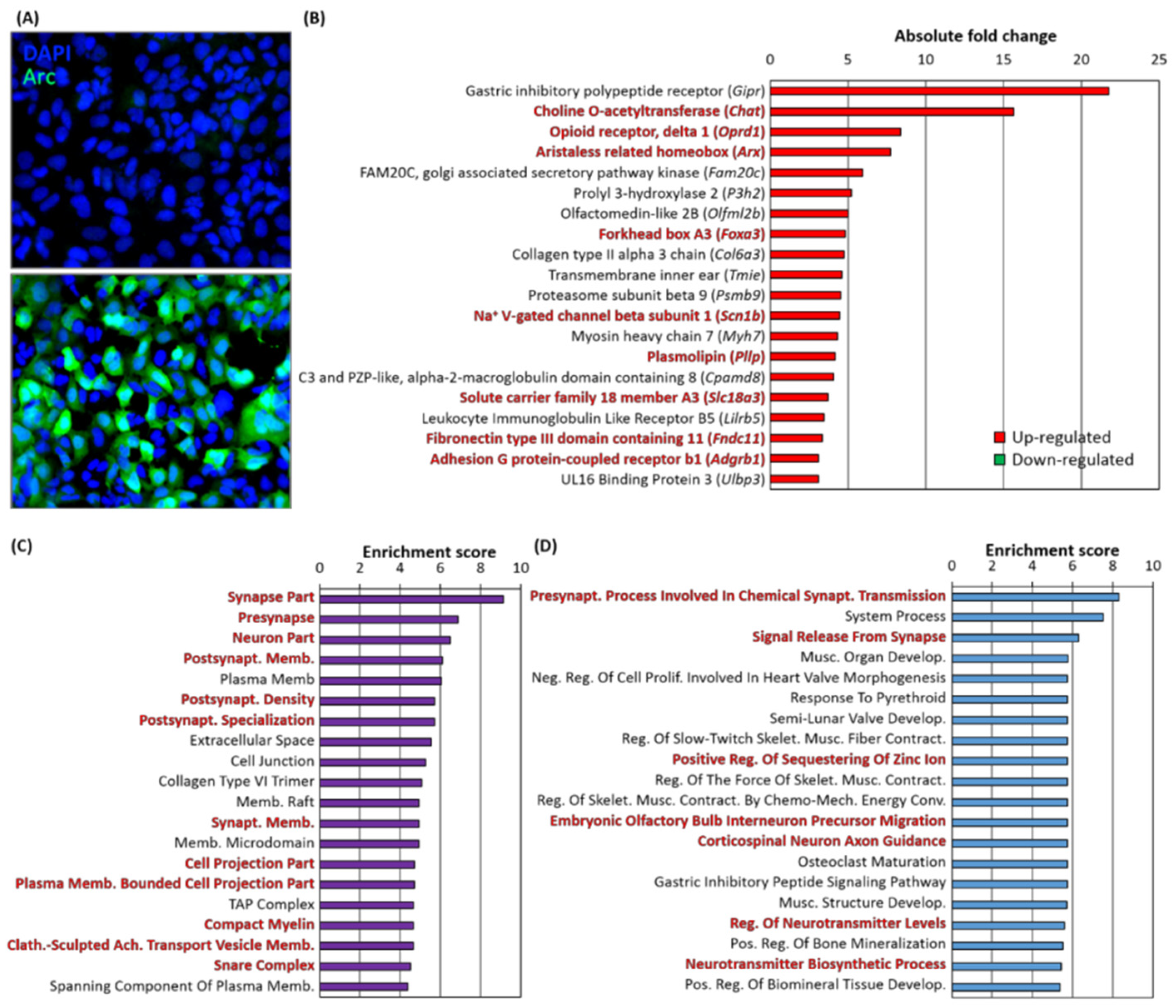 Biomedicines 10 01946 g019