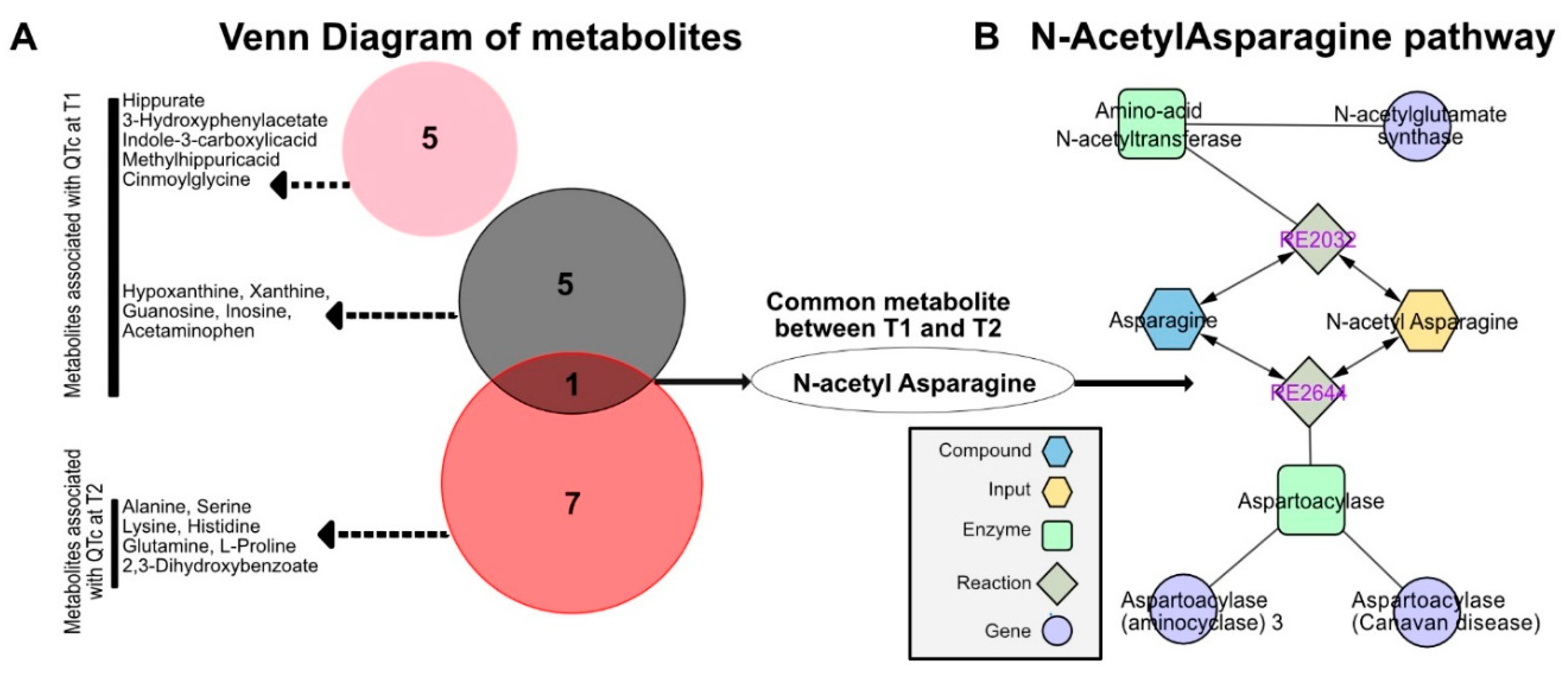 Biomedicines 10 01955 g002