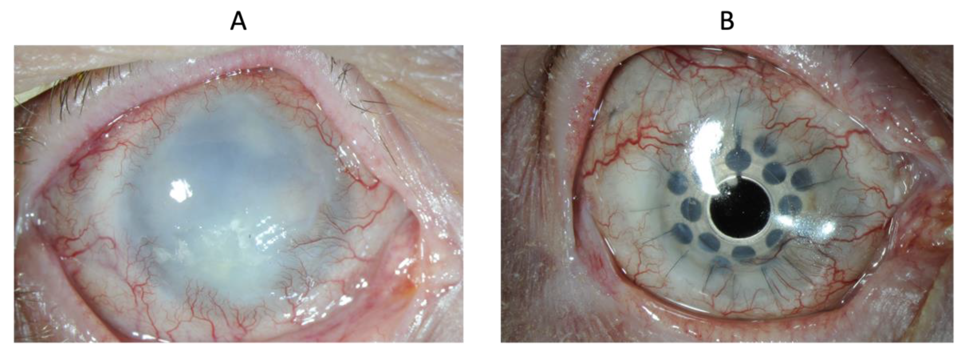 Biomedicines 10 01958 g009