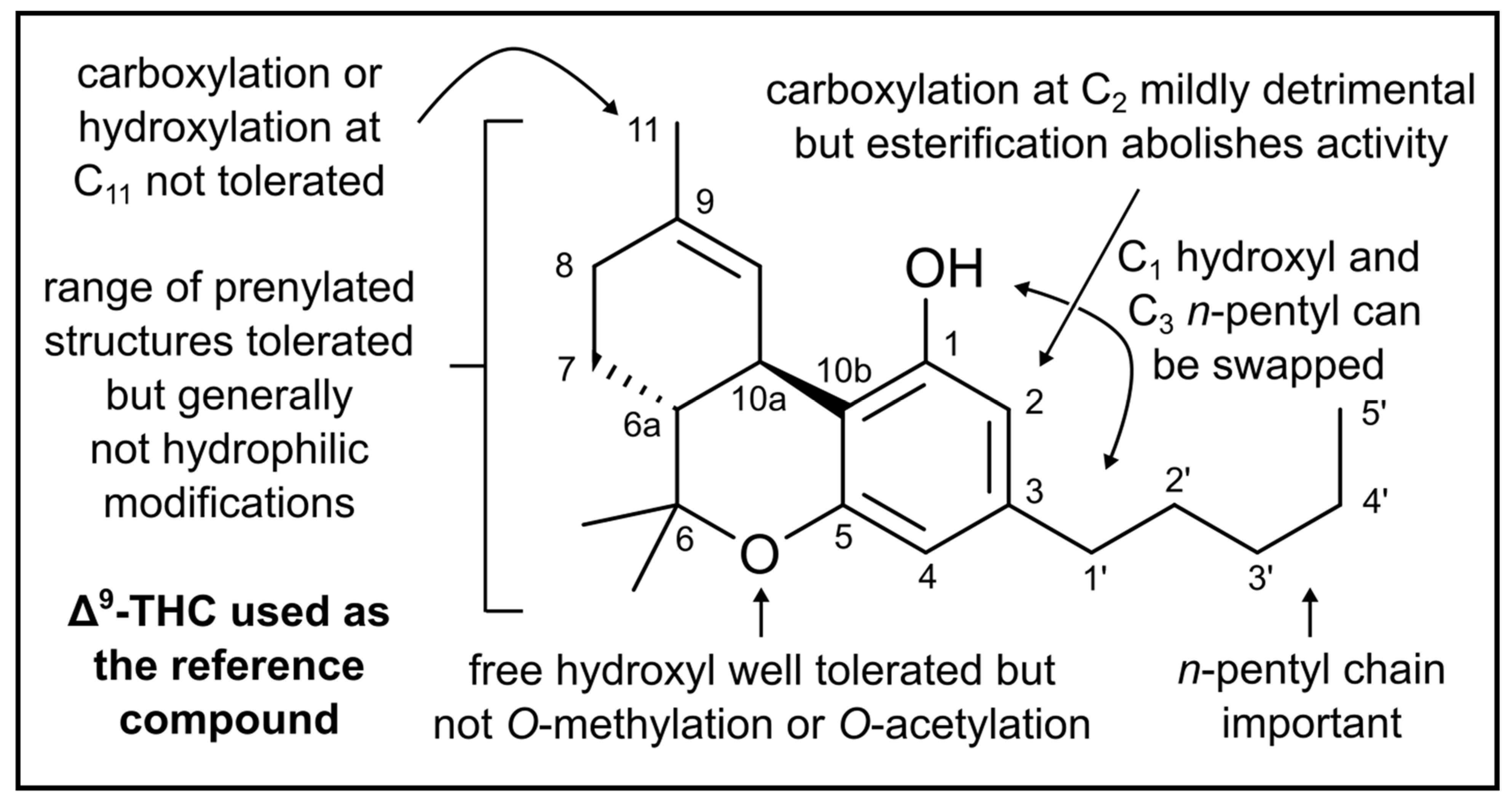 Biomedicines 10 01959 g003 550
