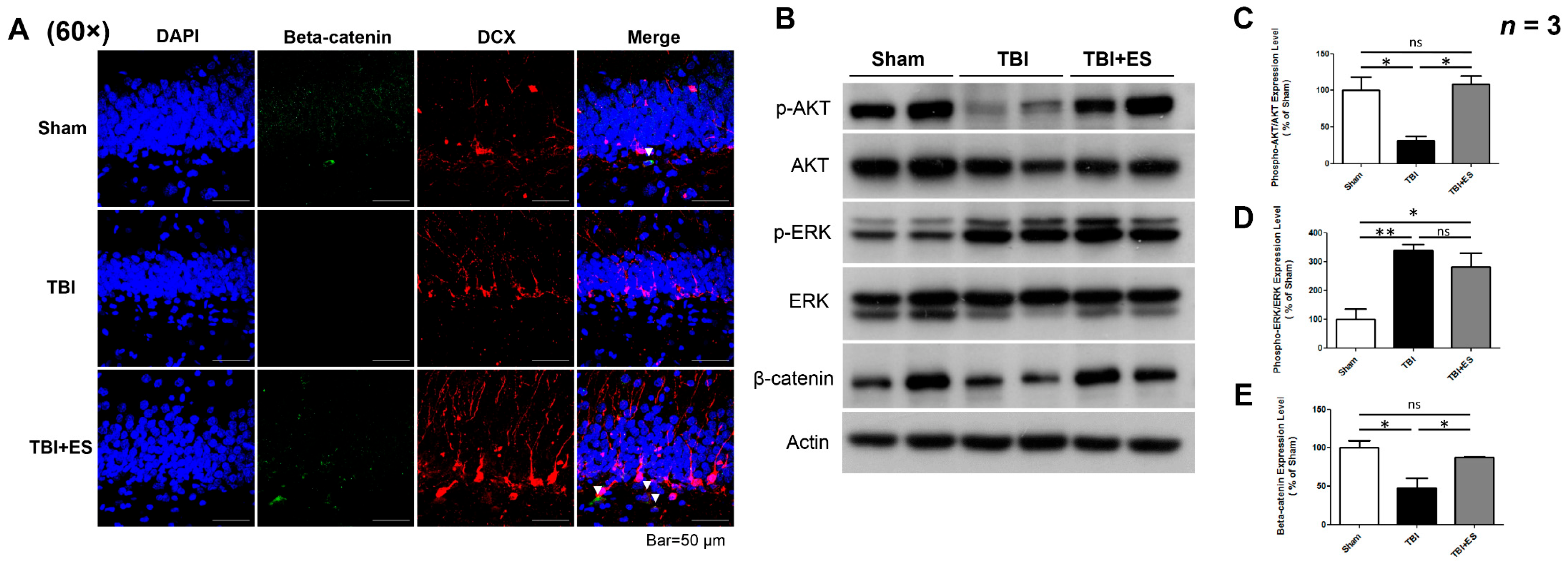 Biomedicines 10 01965 g008