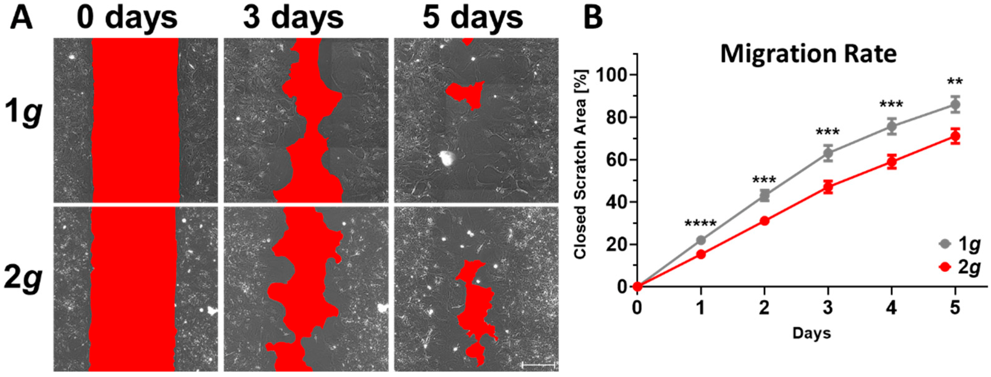 Biomedicines 10 01966 g003