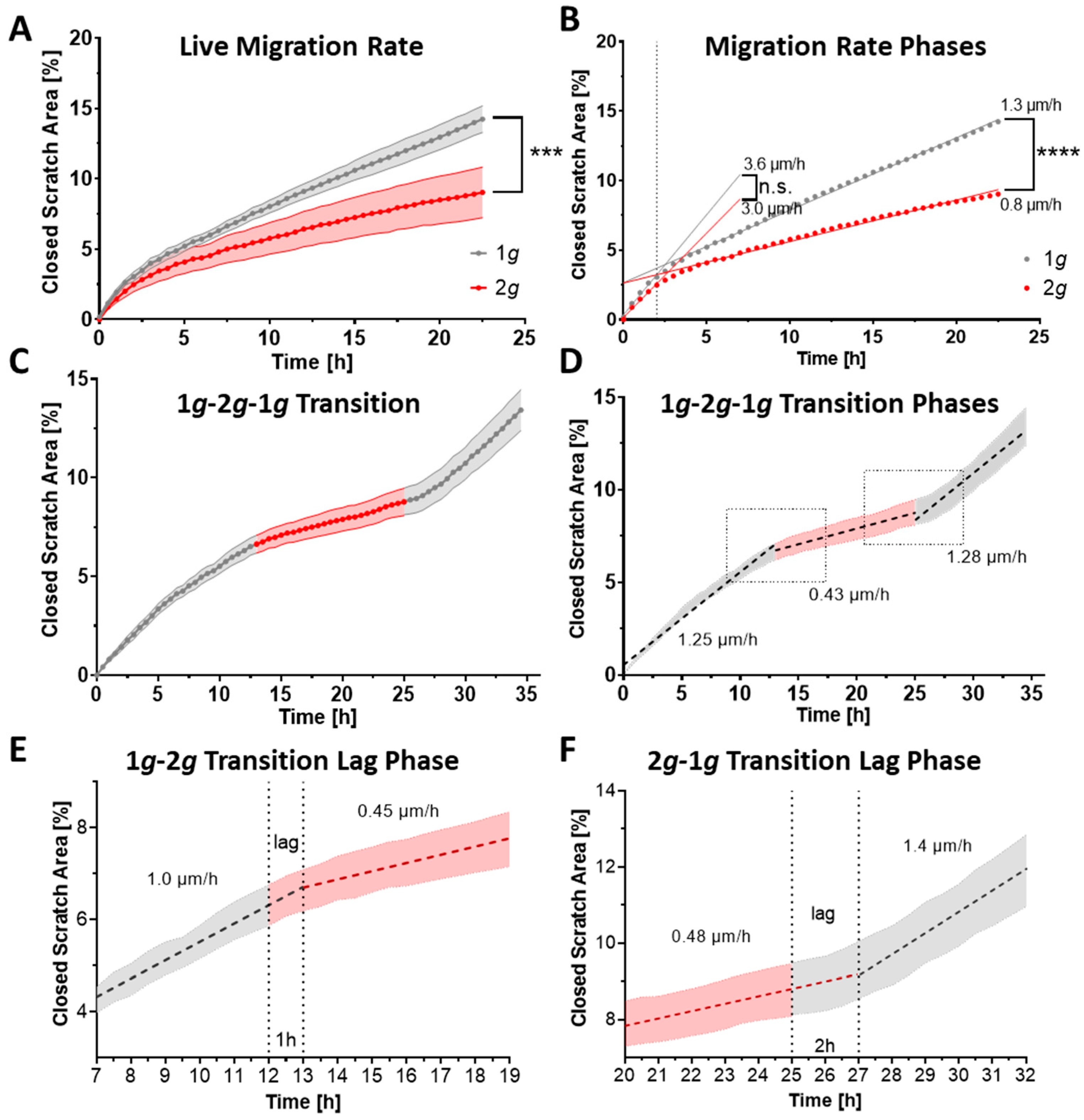 Biomedicines 10 01966 g004