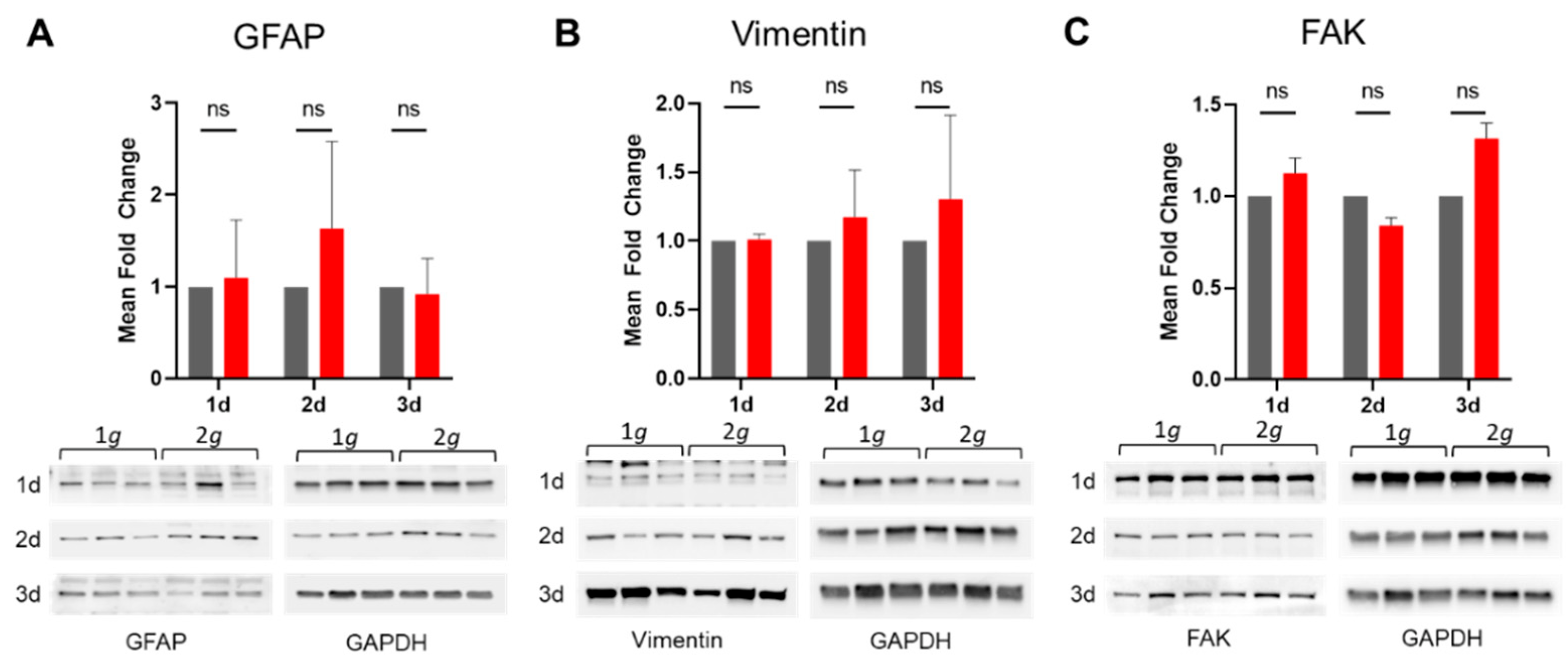 Biomedicines 10 01966 g008