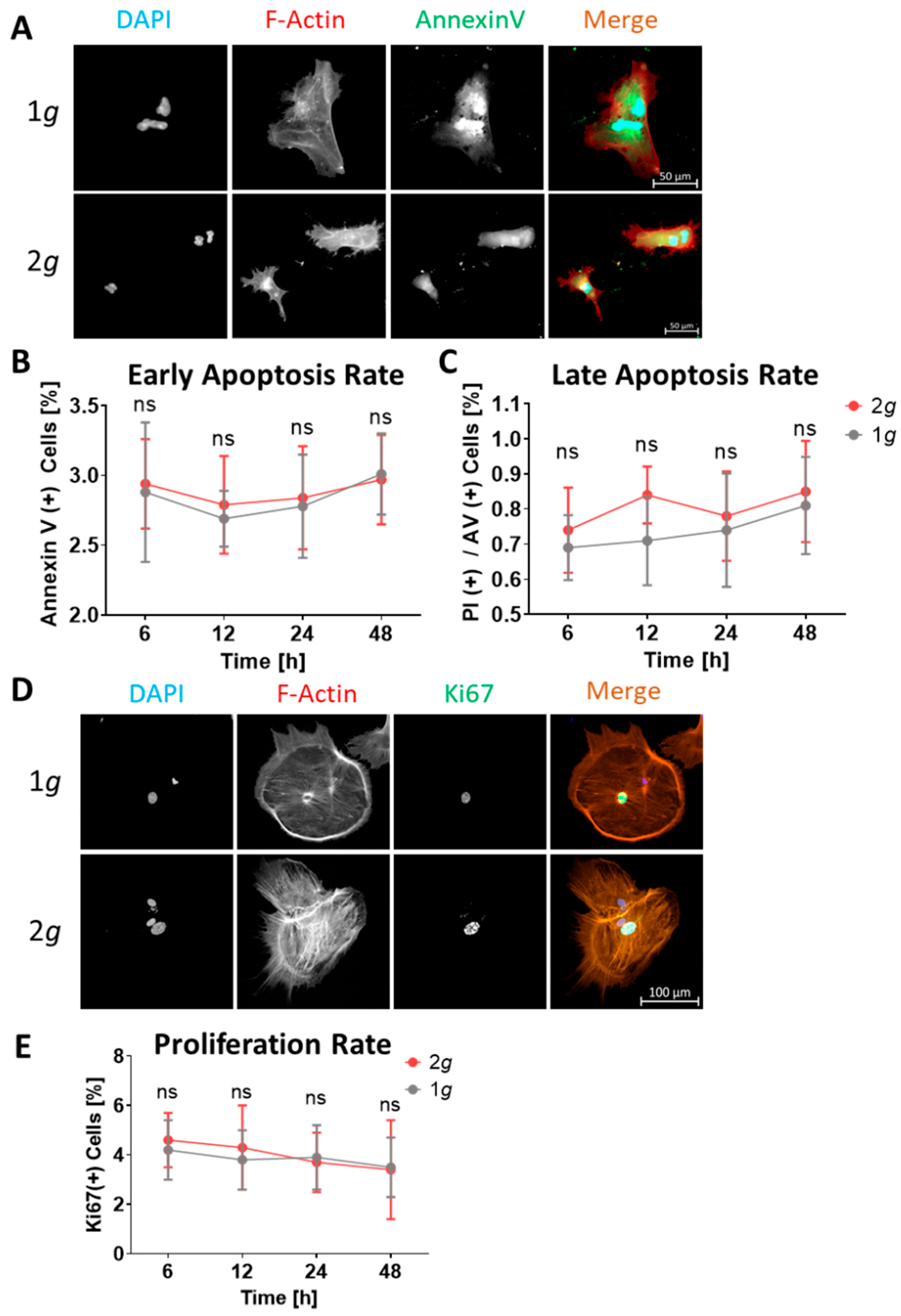 Biomedicines 10 01966 g009