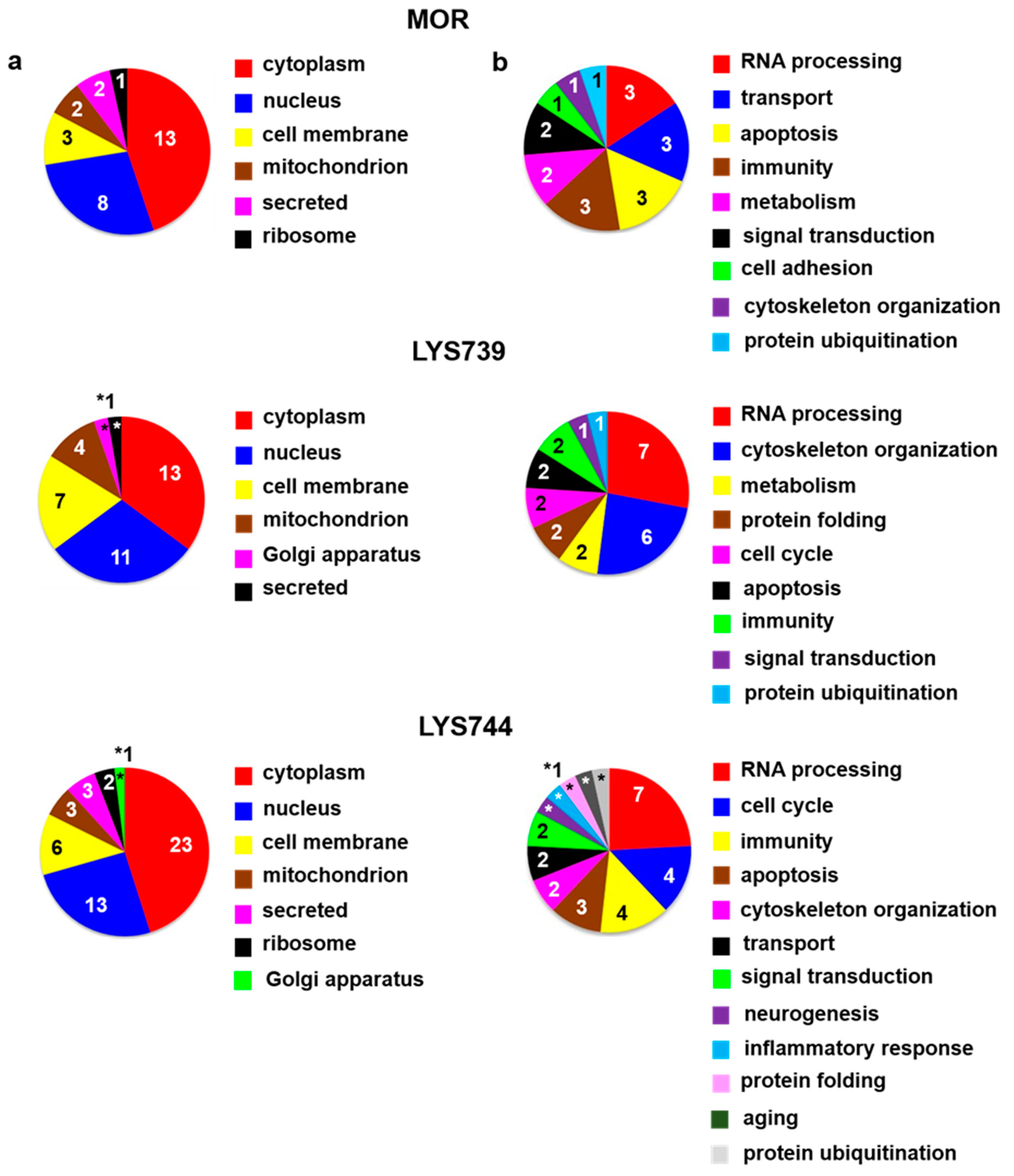 Biomedicines 10 01969 g004 550
