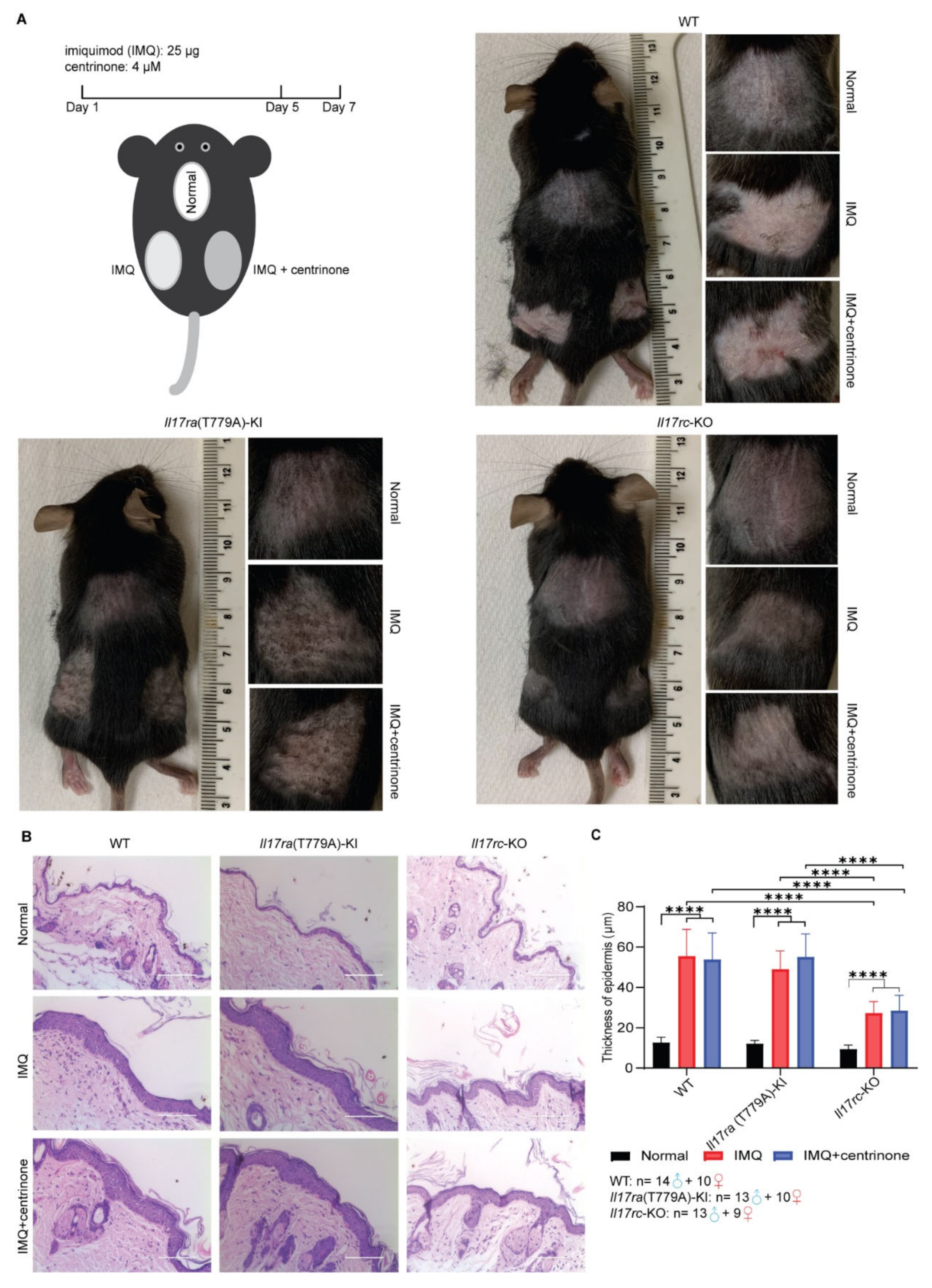 Biomedicines 10 01976 g003 550