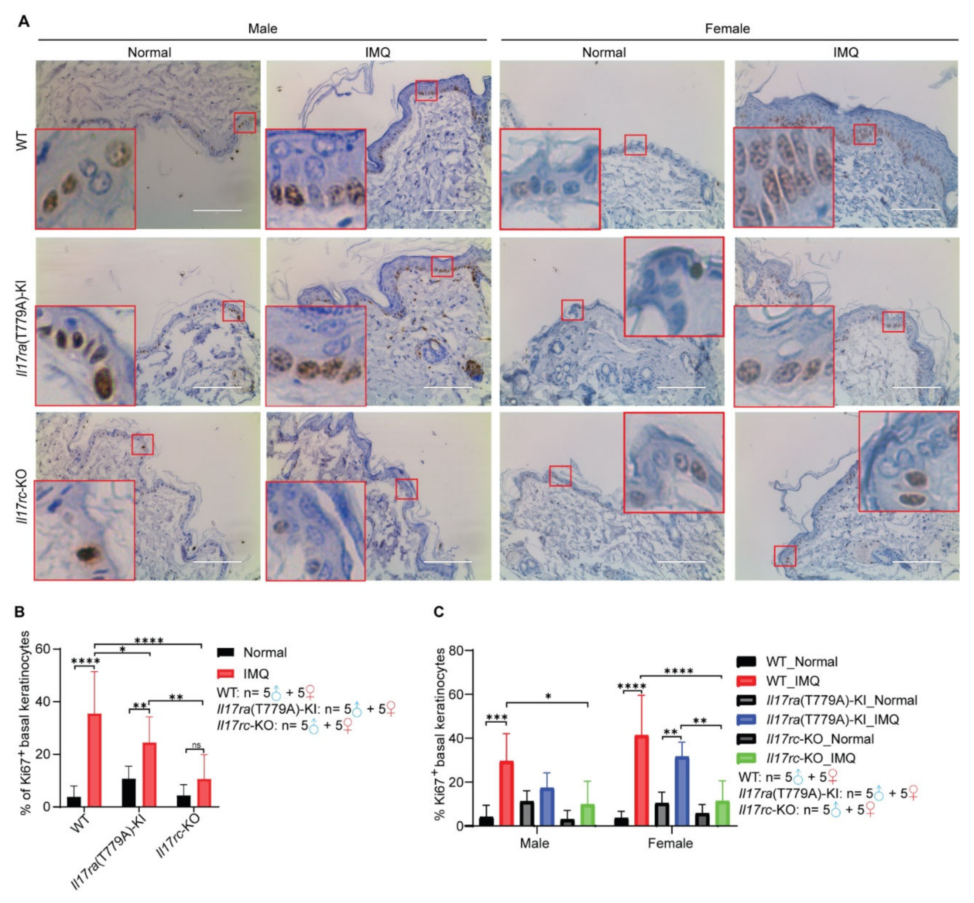 Biomedicines 10 01976 g004 550