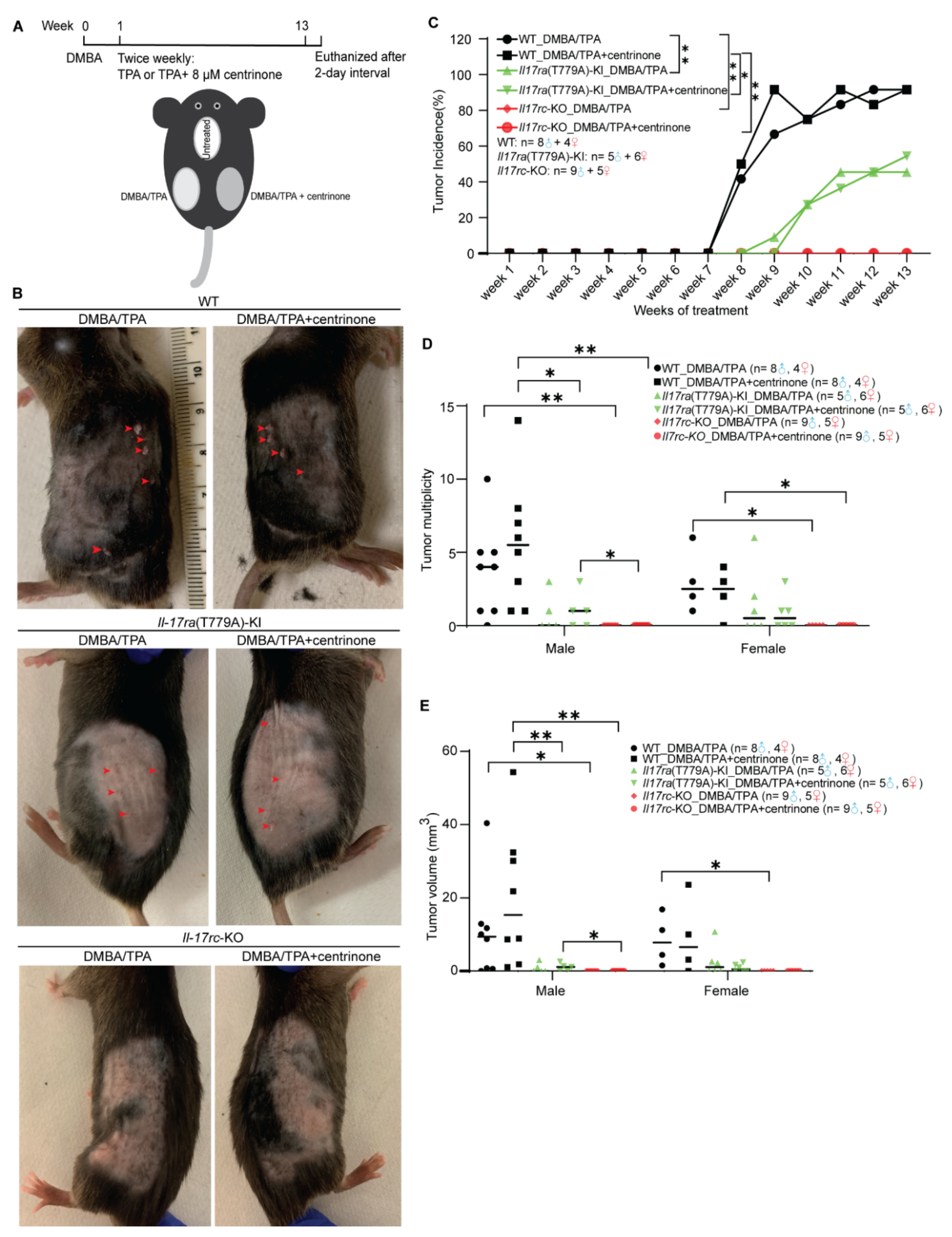 Biomedicines 10 01976 g006 550